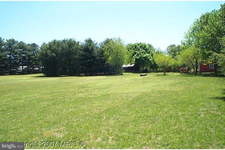 227 Hoffecker Road Chestertown, MD 21620 - Photo 9 of 10 Back yard