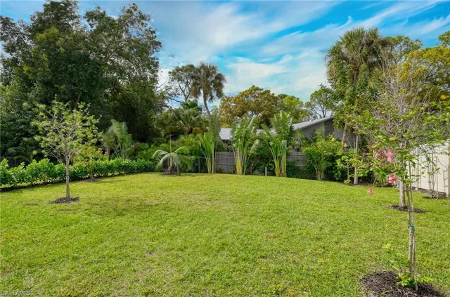 a view of field with tall trees