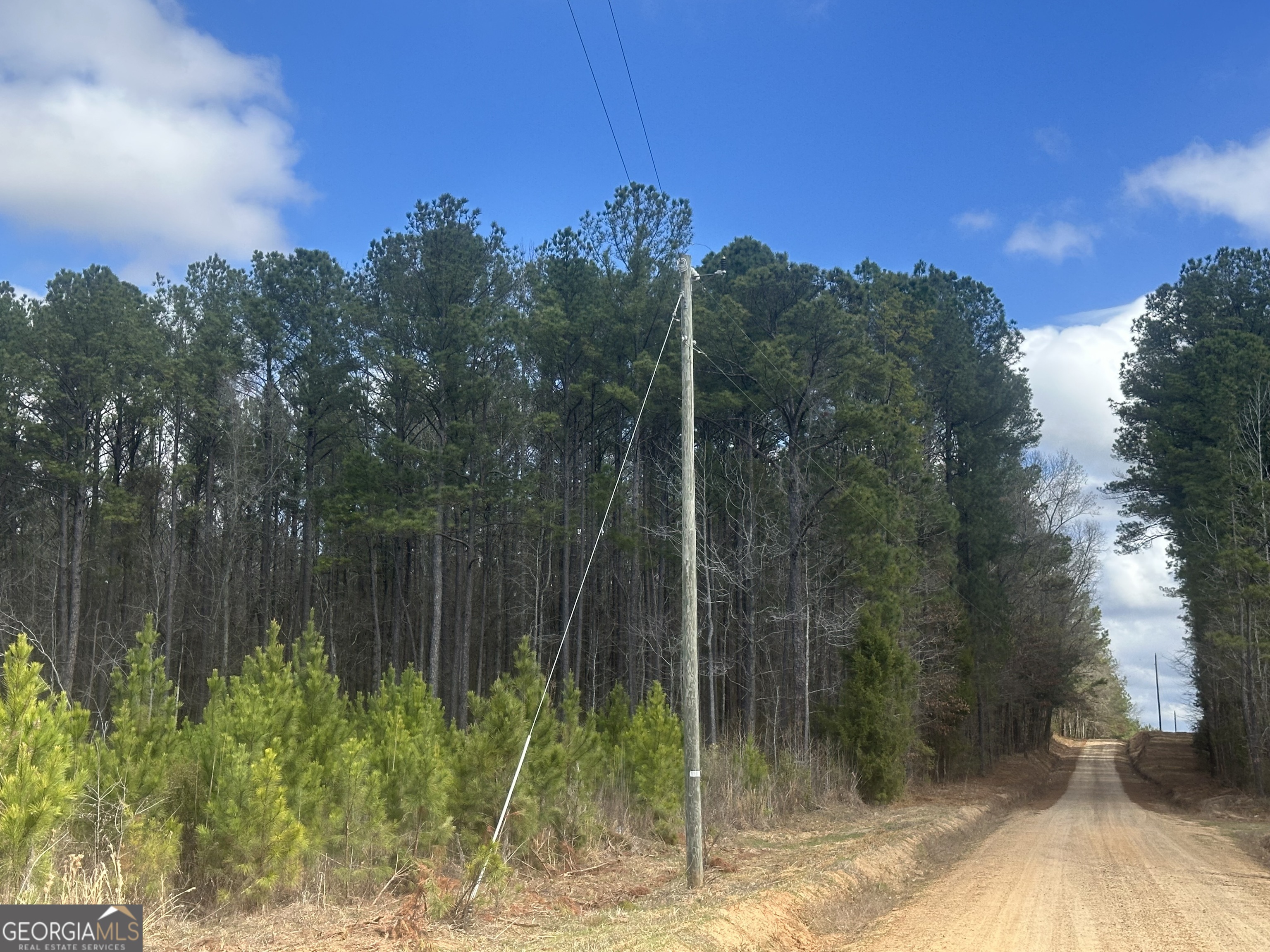 0 Gibson Road Talbotton, GA 31827 - Photo 14 of 38