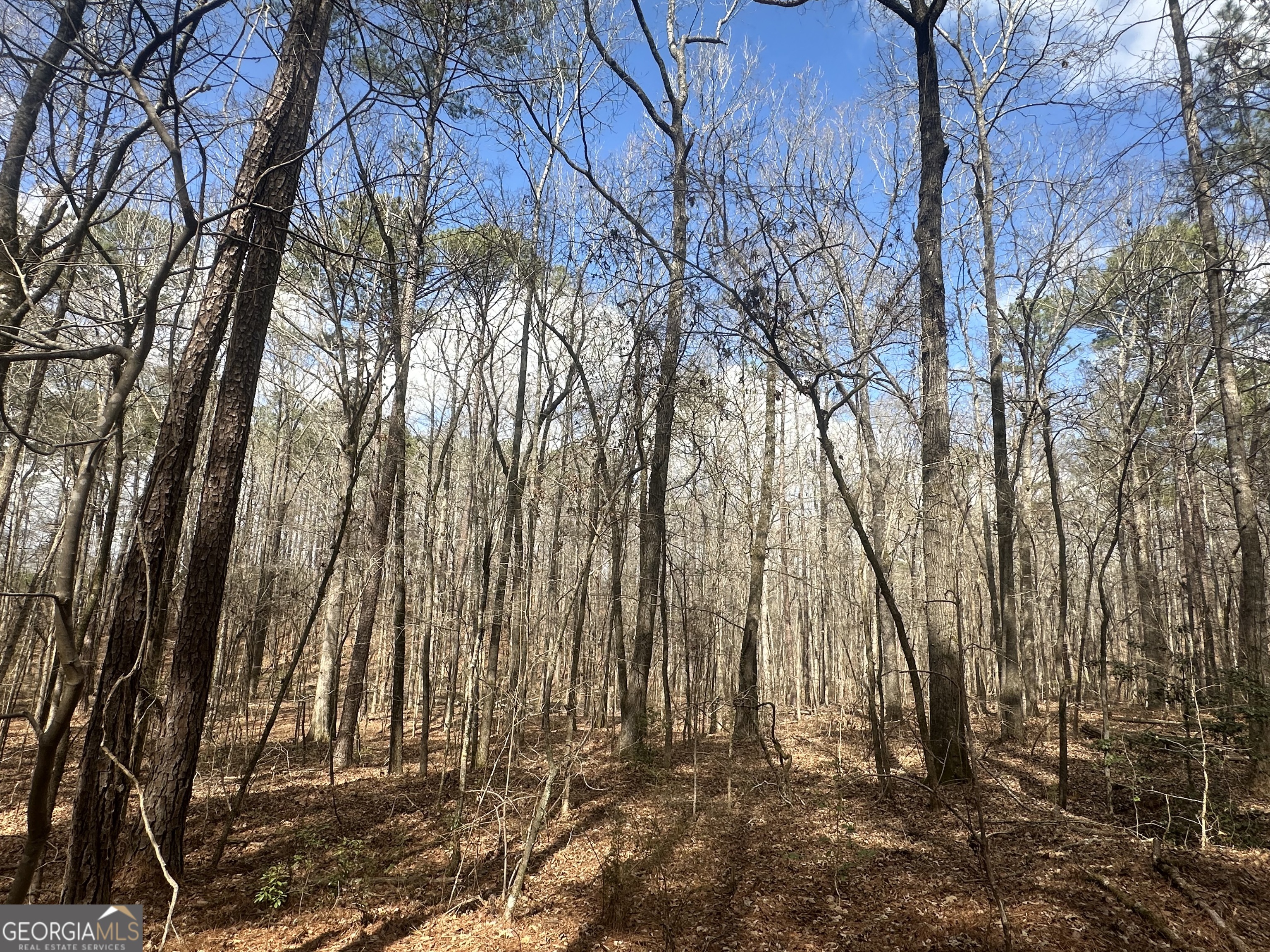 0 Gibson Road Talbotton, GA 31827 - Photo 17 of 38