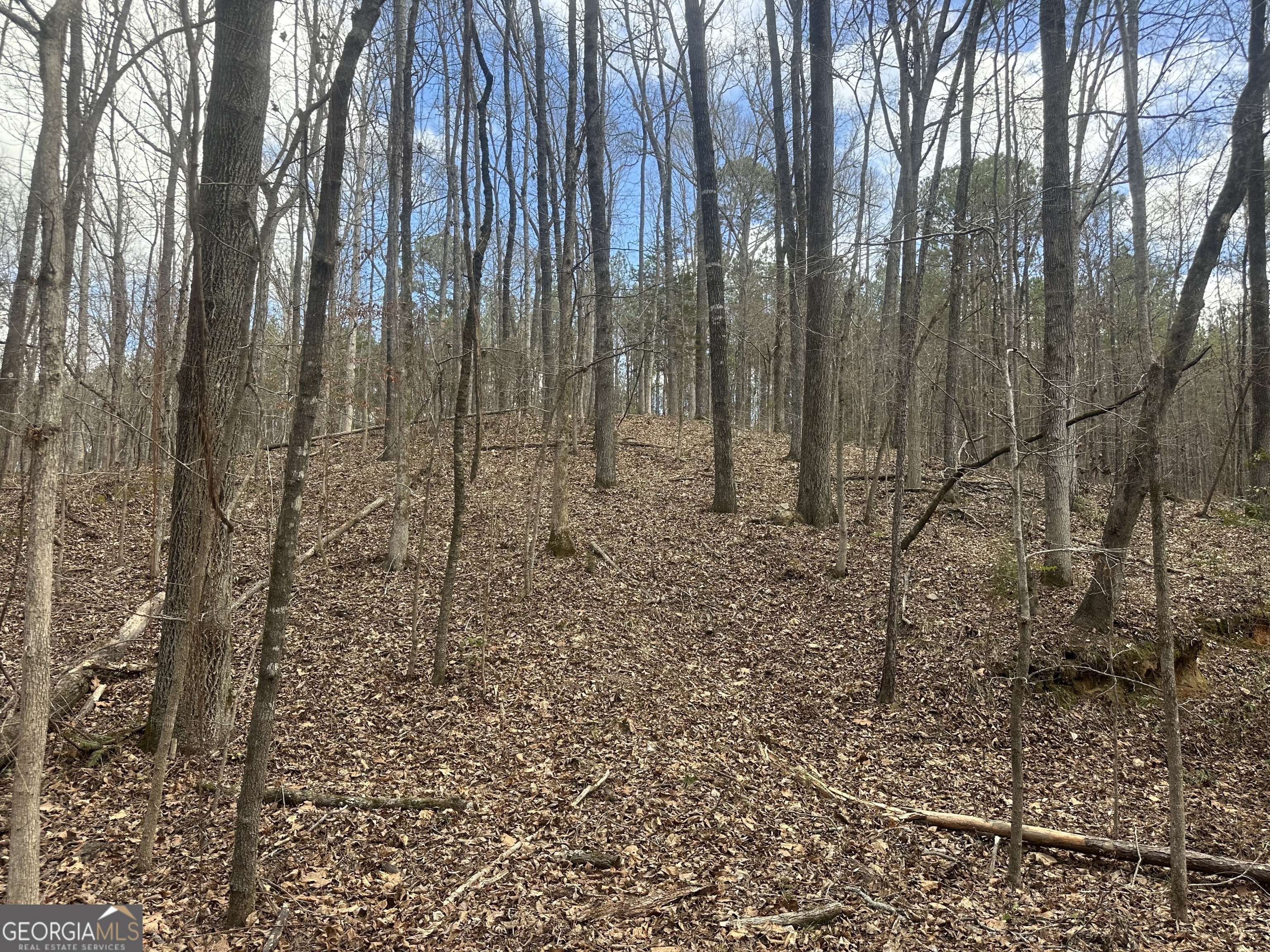 0 Gibson Road Talbotton, GA 31827 - Photo 18 of 38