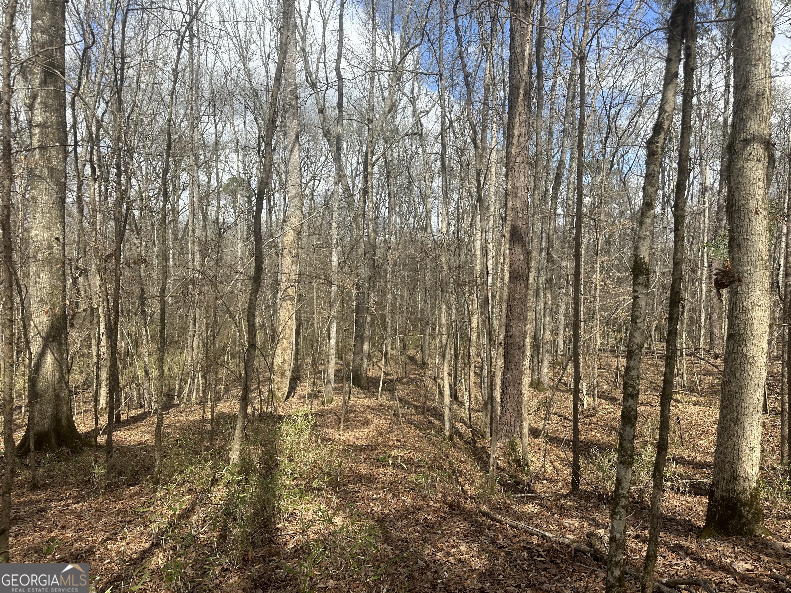 0 Gibson Road Talbotton, GA 31827 - Photo 20 of 38