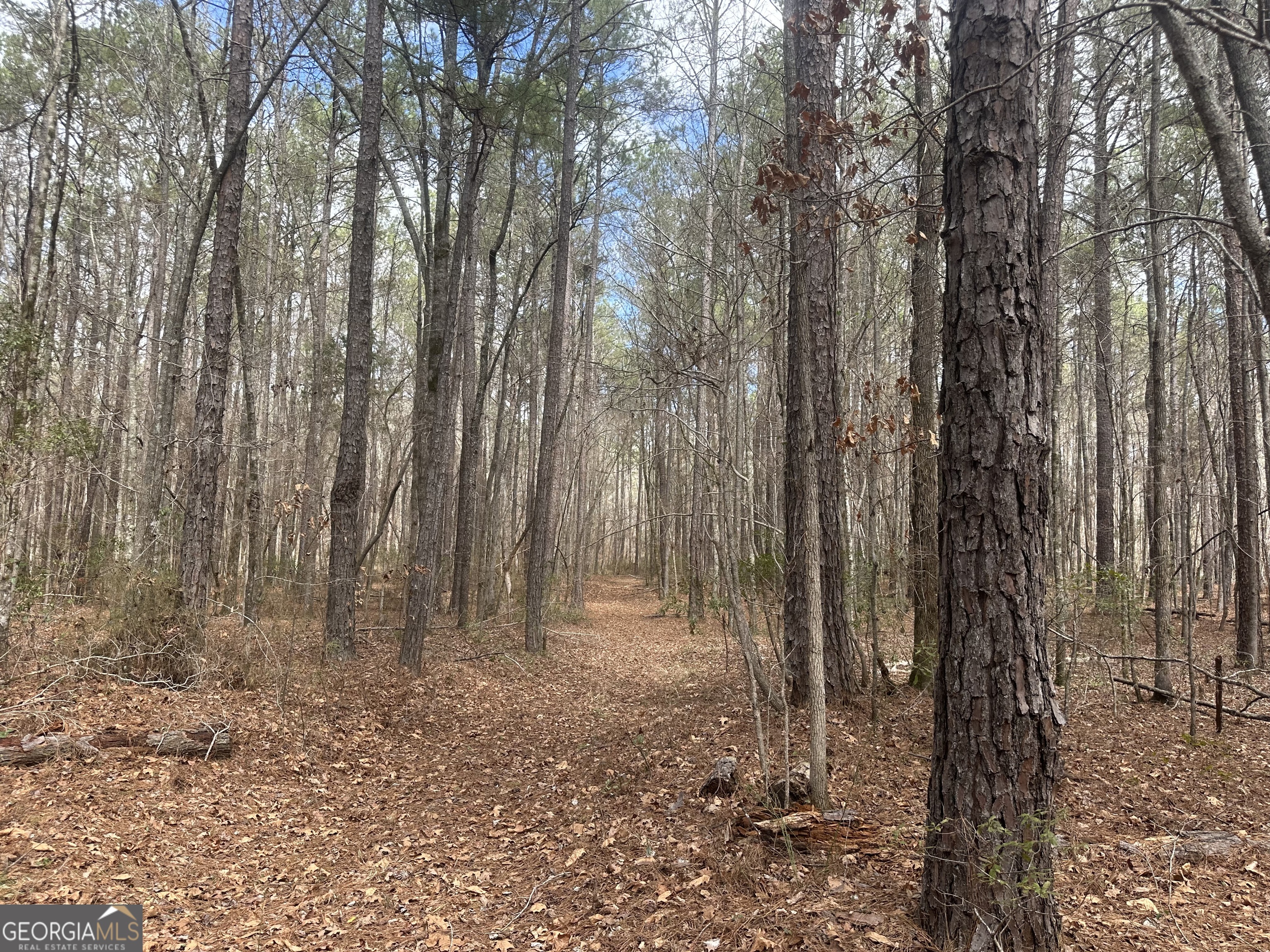 0 Gibson Road Talbotton, GA 31827 - Photo 2 of 38