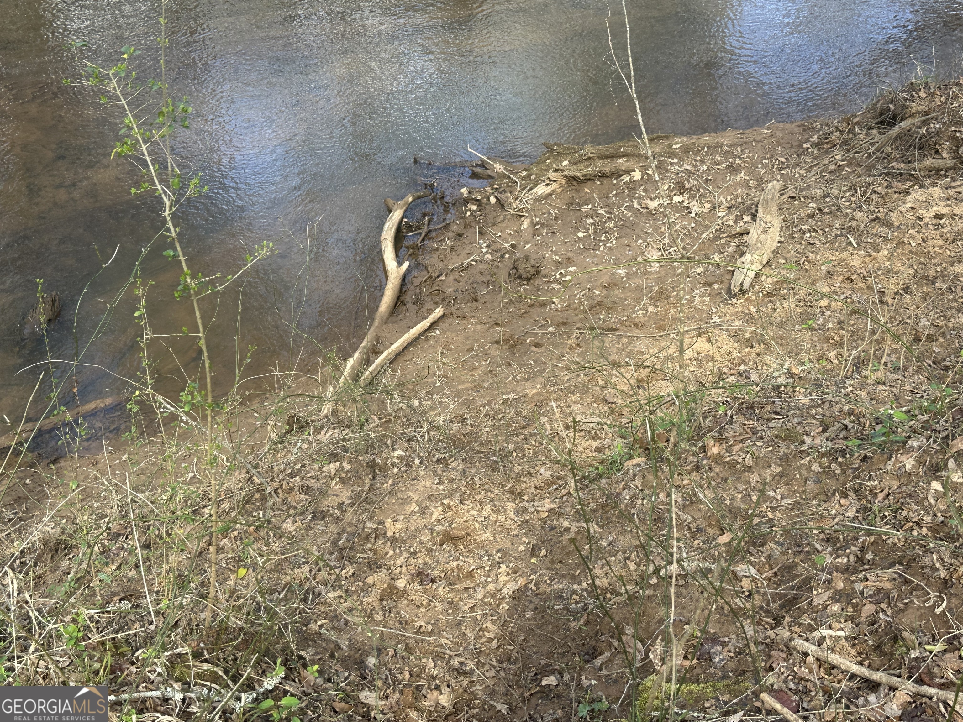 0 Gibson Road Talbotton, GA 31827 - Photo 21 of 38