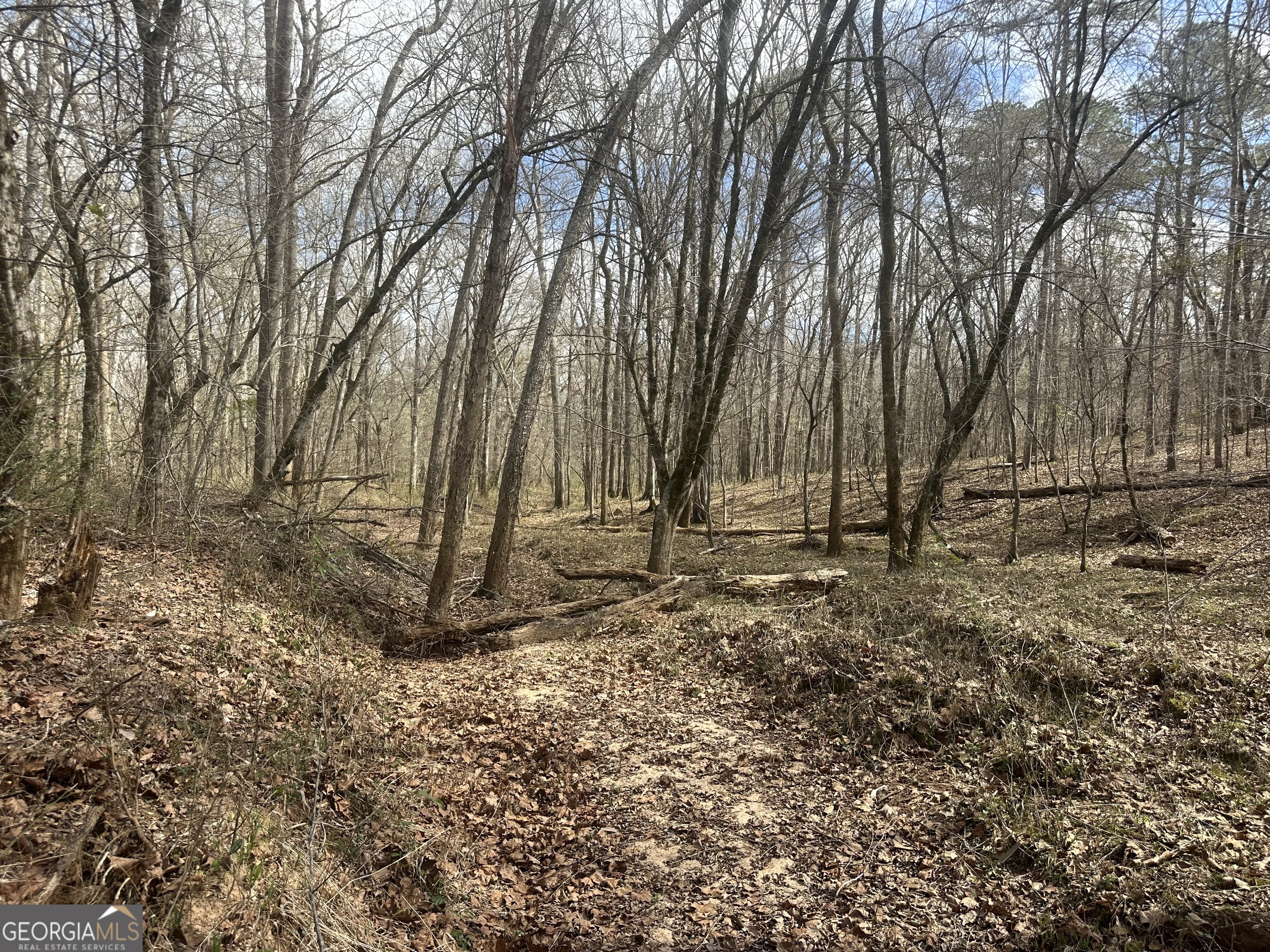 0 Gibson Road Talbotton, GA 31827 - Photo 23 of 38