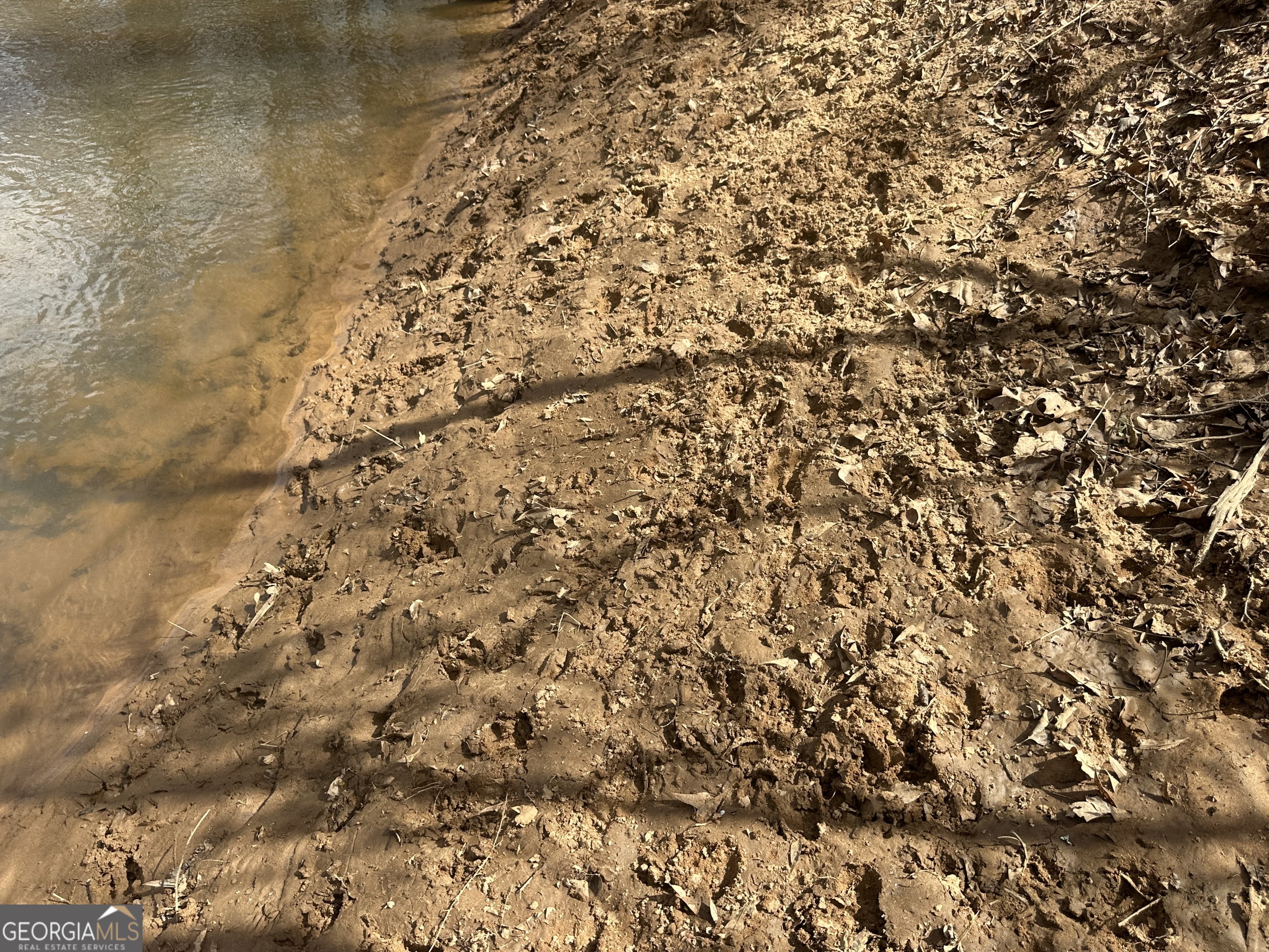 0 Gibson Road Talbotton, GA 31827 - Photo 24 of 38