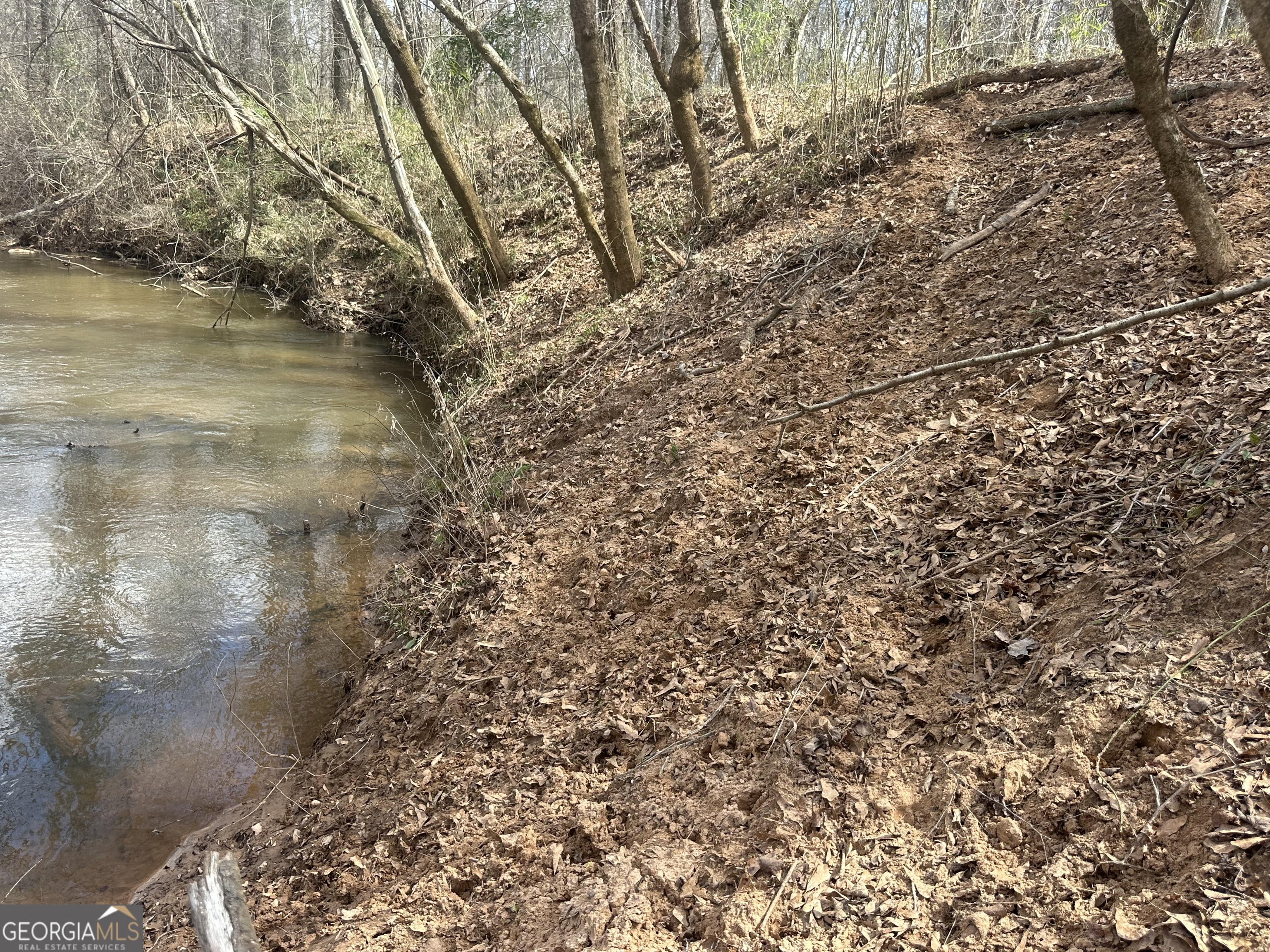 0 Gibson Road Talbotton, GA 31827 - Photo 25 of 38