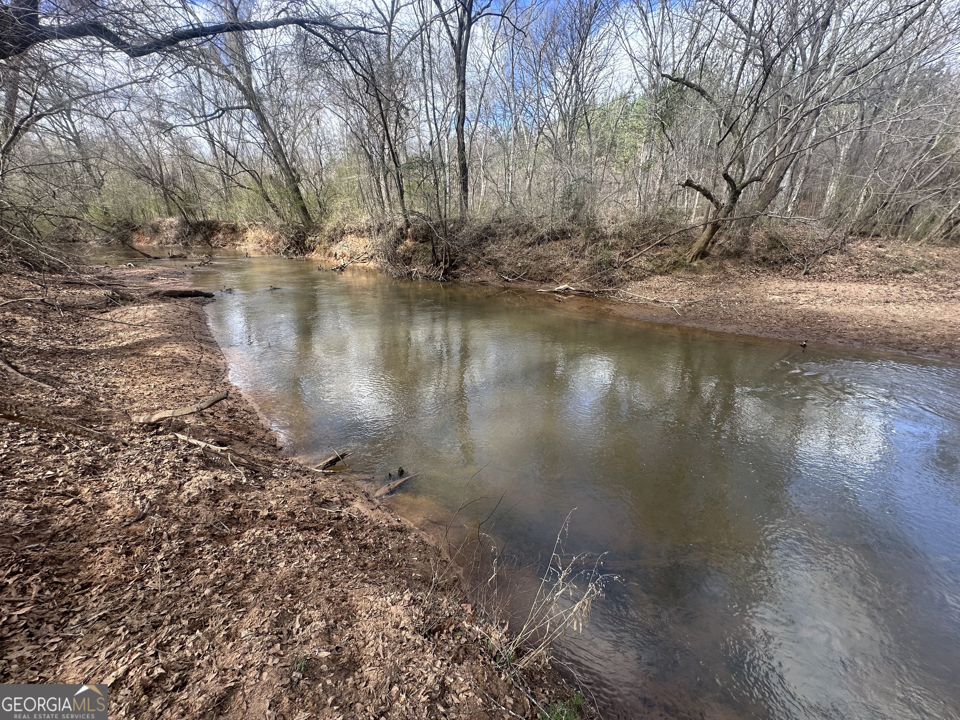 0 Gibson Road Talbotton, GA 31827 - Photo 26 of 38