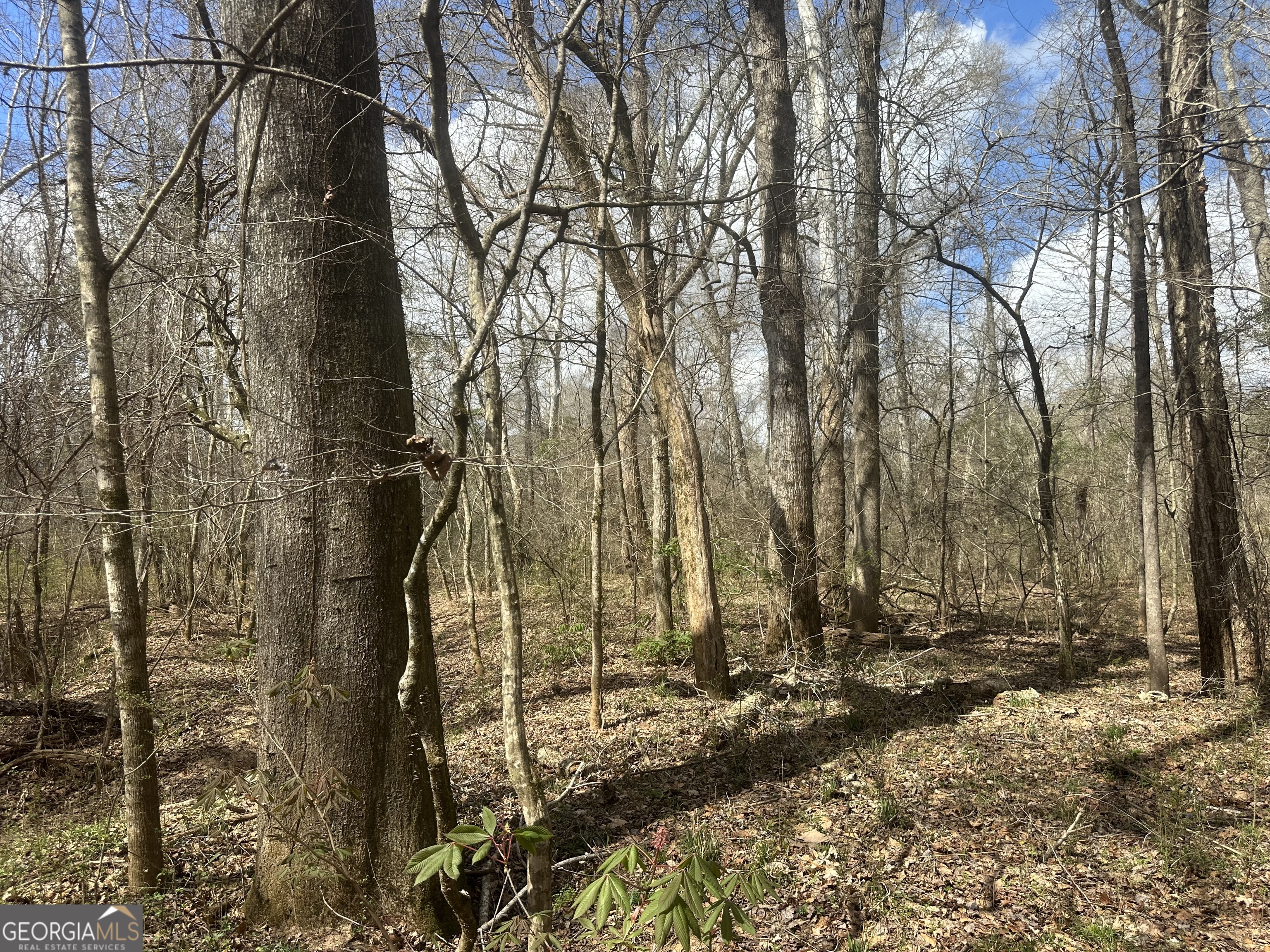 0 Gibson Road Talbotton, GA 31827 - Photo 28 of 38