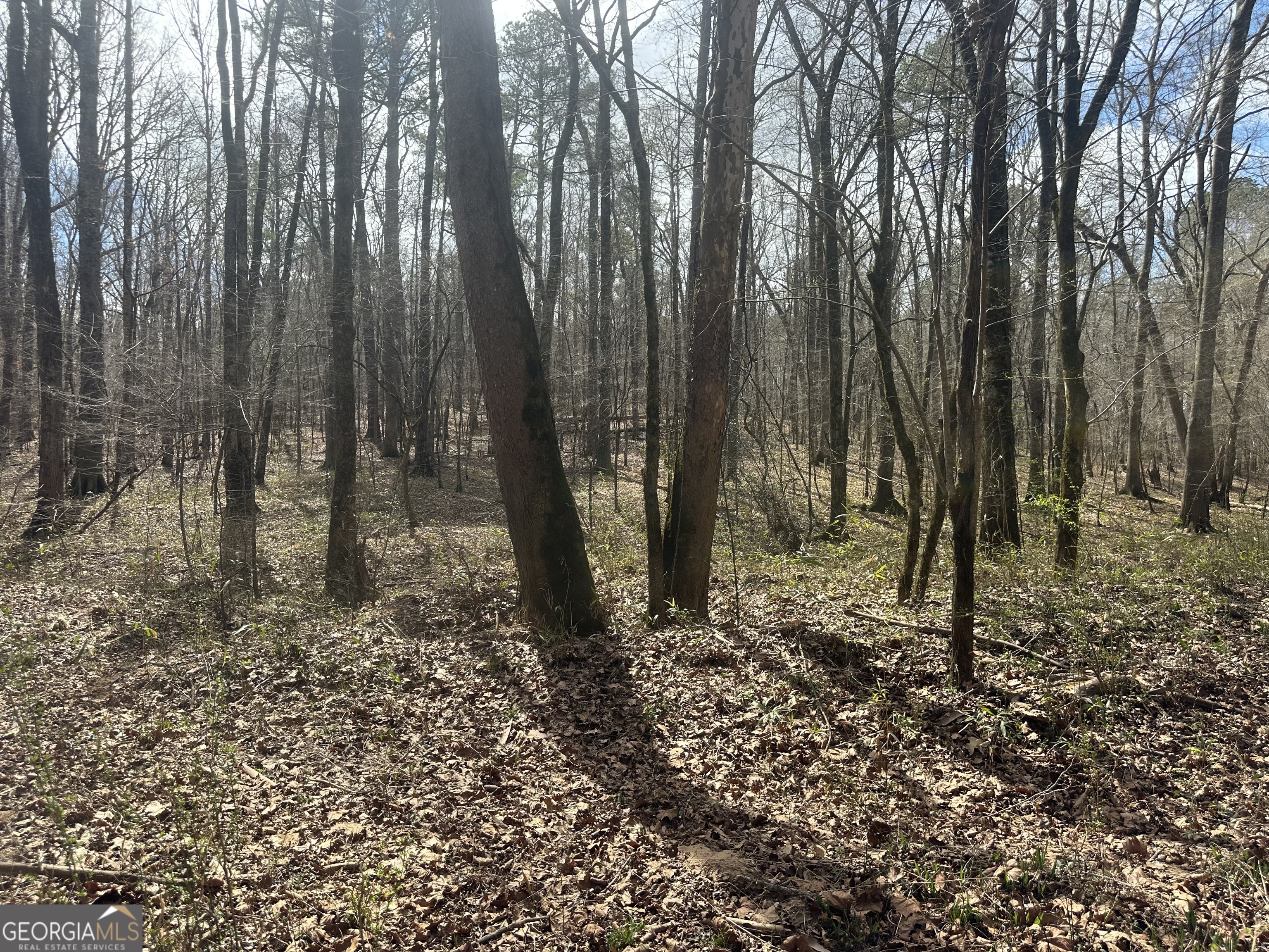 0 Gibson Road Talbotton, GA 31827 - Photo 29 of 38