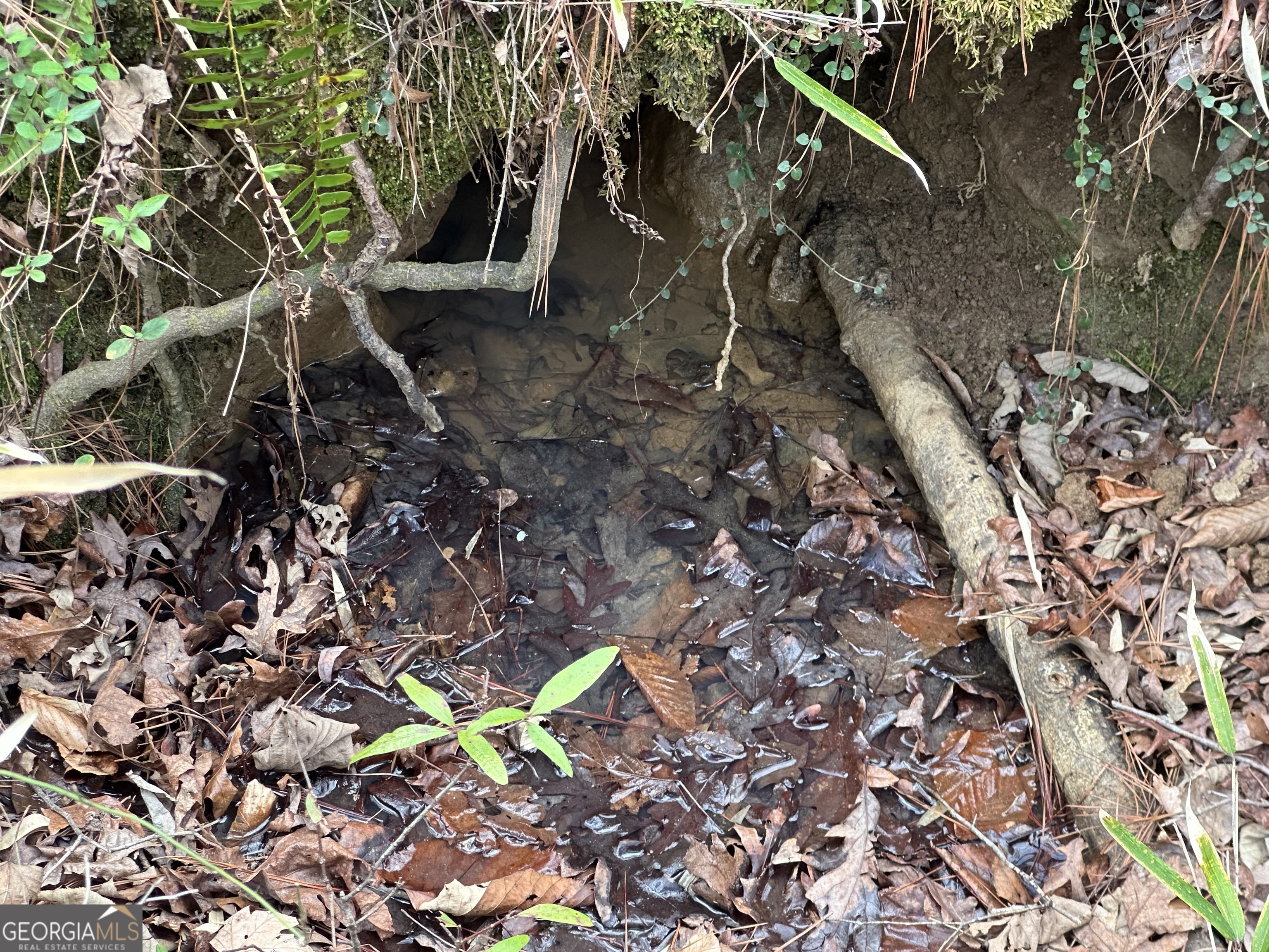 0 Gibson Road Talbotton, GA 31827 - Photo 30 of 38