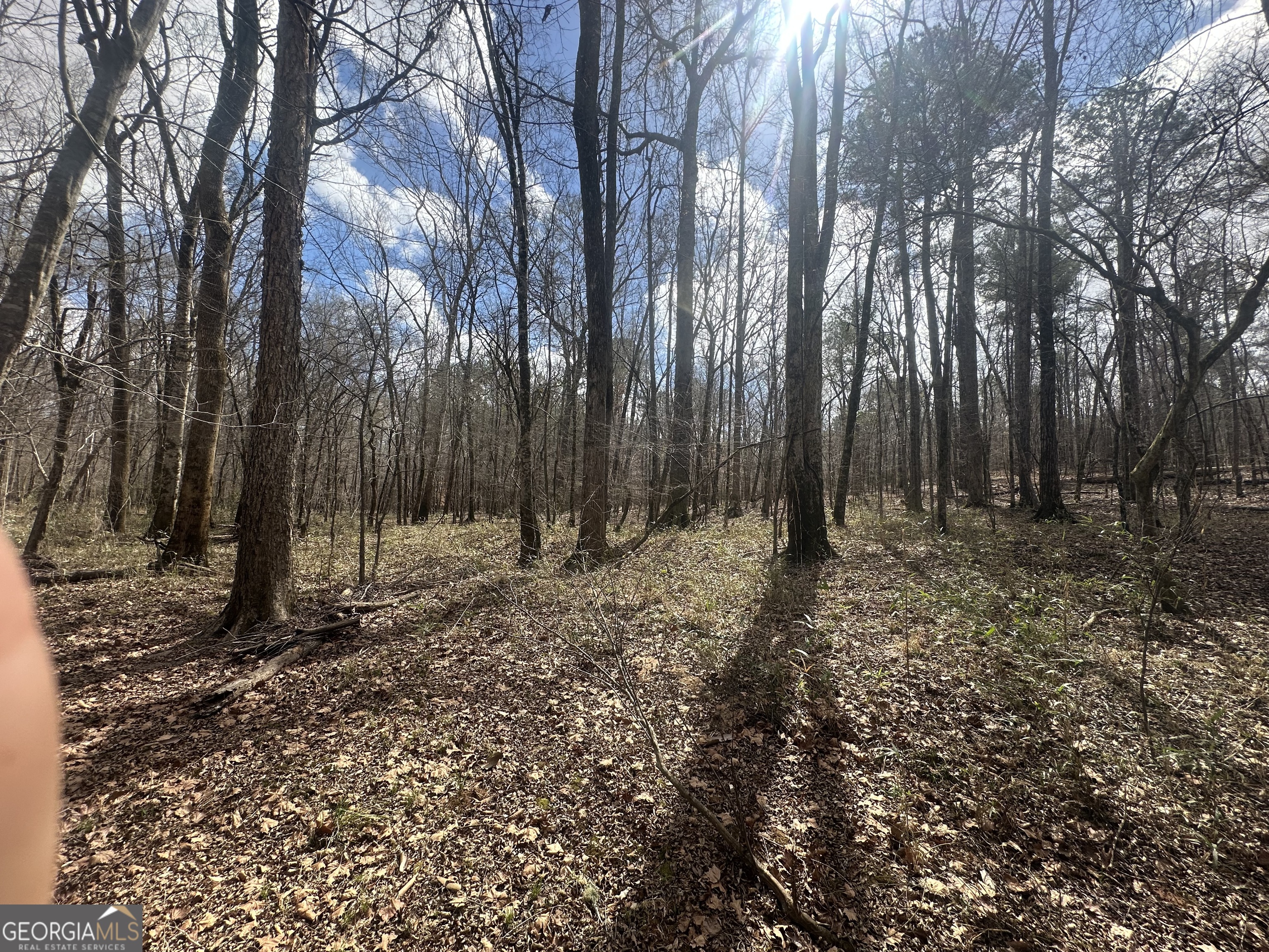 0 Gibson Road Talbotton, GA 31827 - Photo 32 of 38