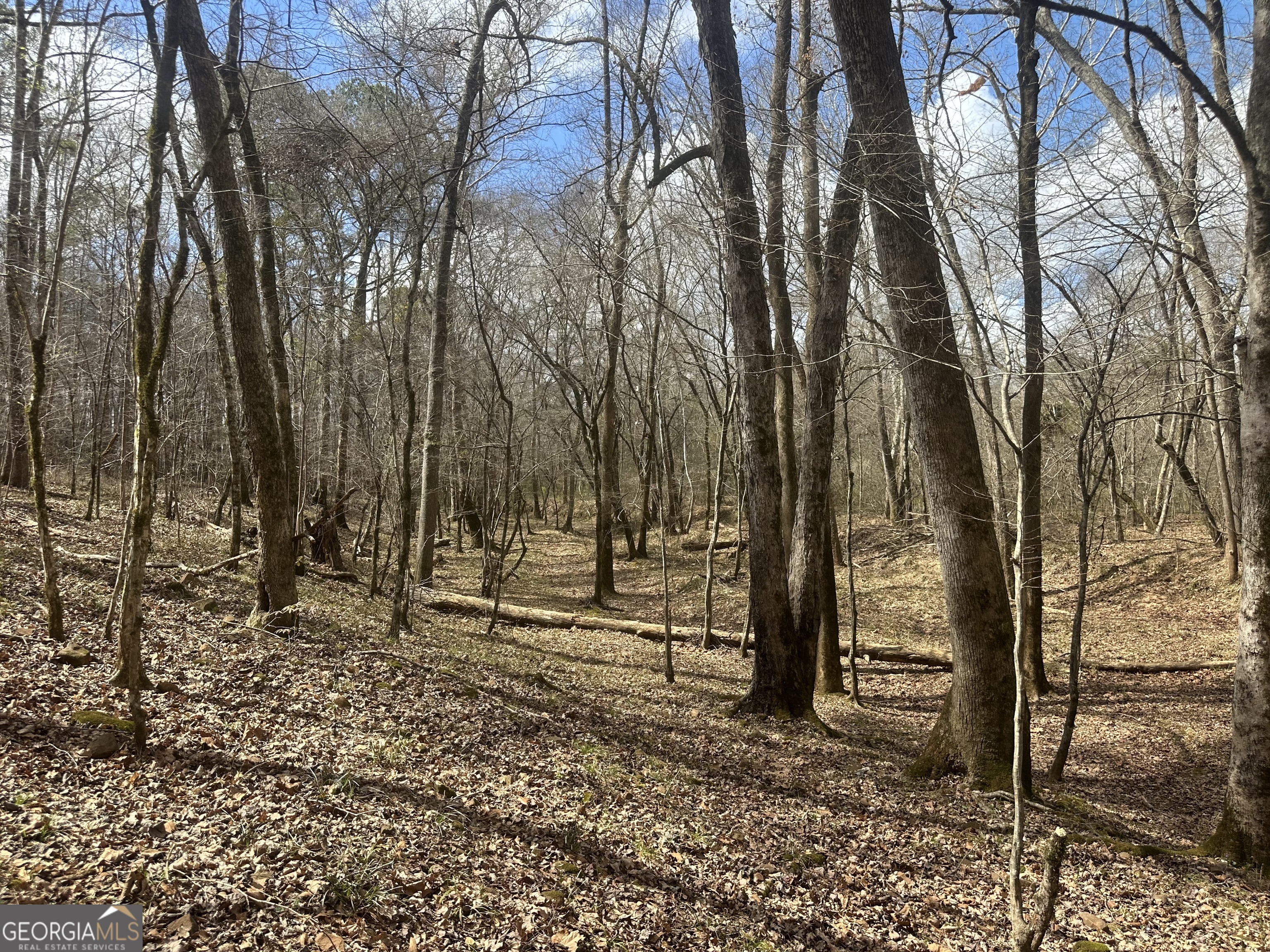 0 Gibson Road Talbotton, GA 31827 - Photo 33 of 38