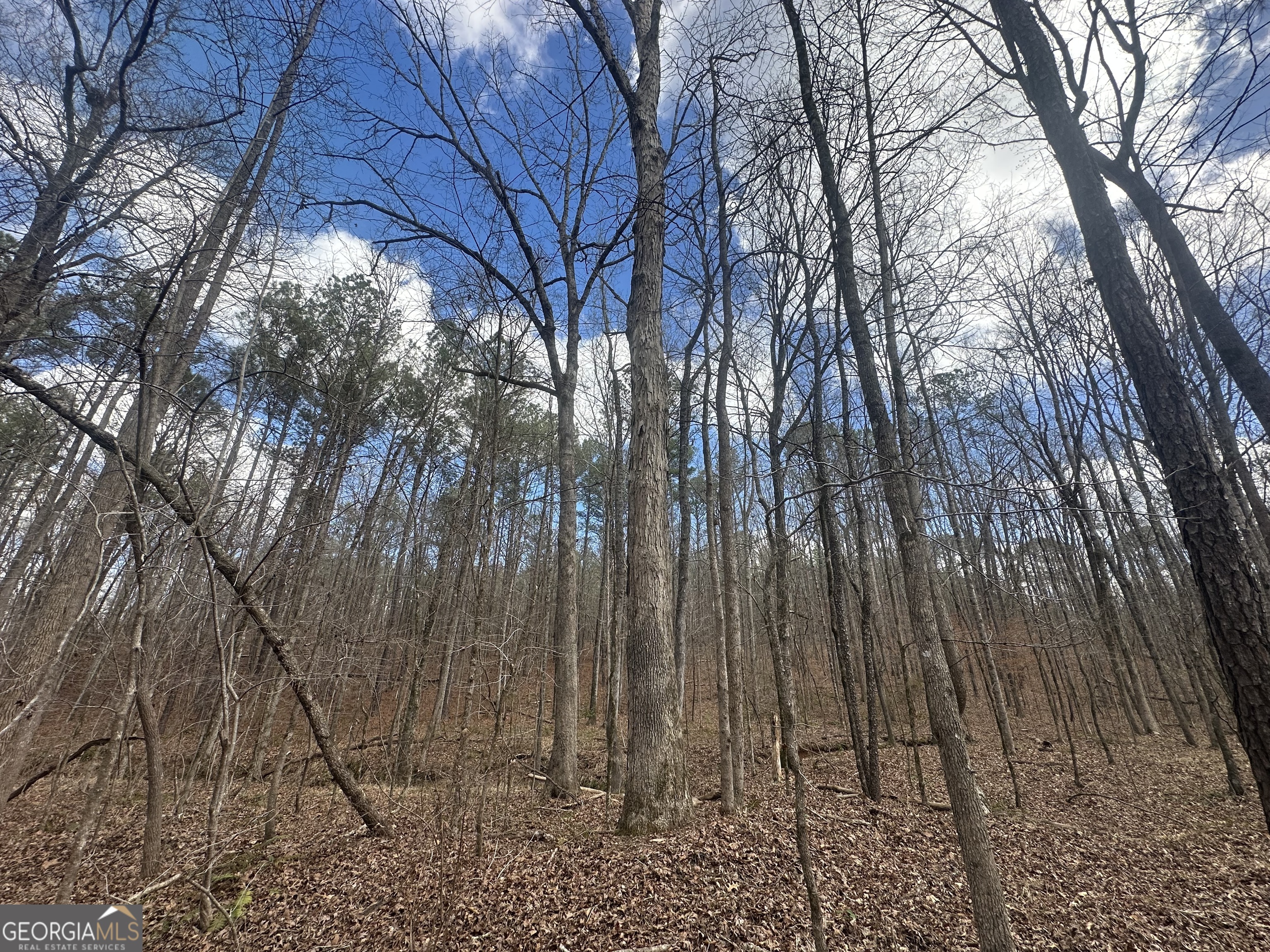 0 Gibson Road Talbotton, GA 31827 - Photo 34 of 38