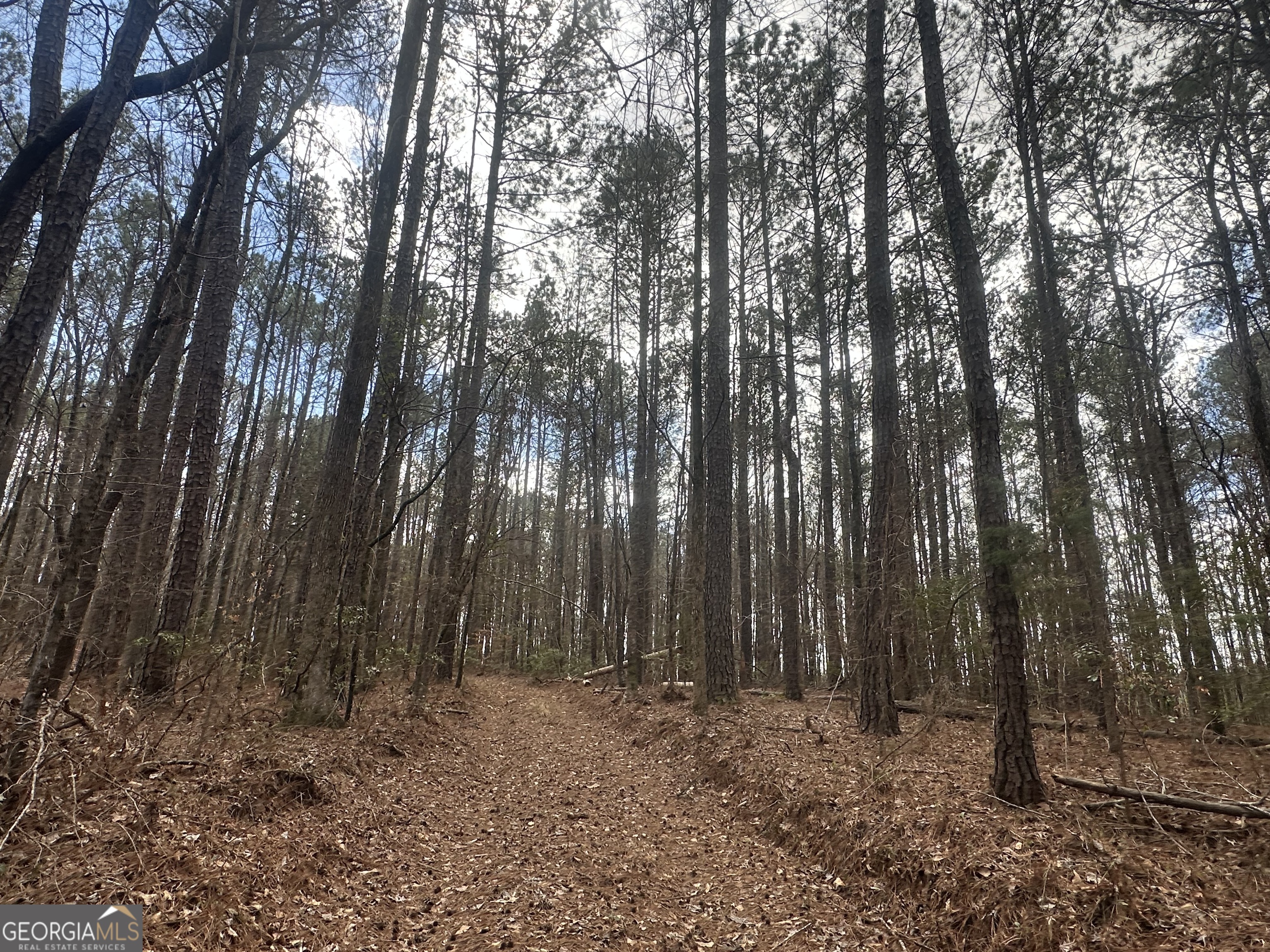 0 Gibson Road Talbotton, GA 31827 - Photo 35 of 38