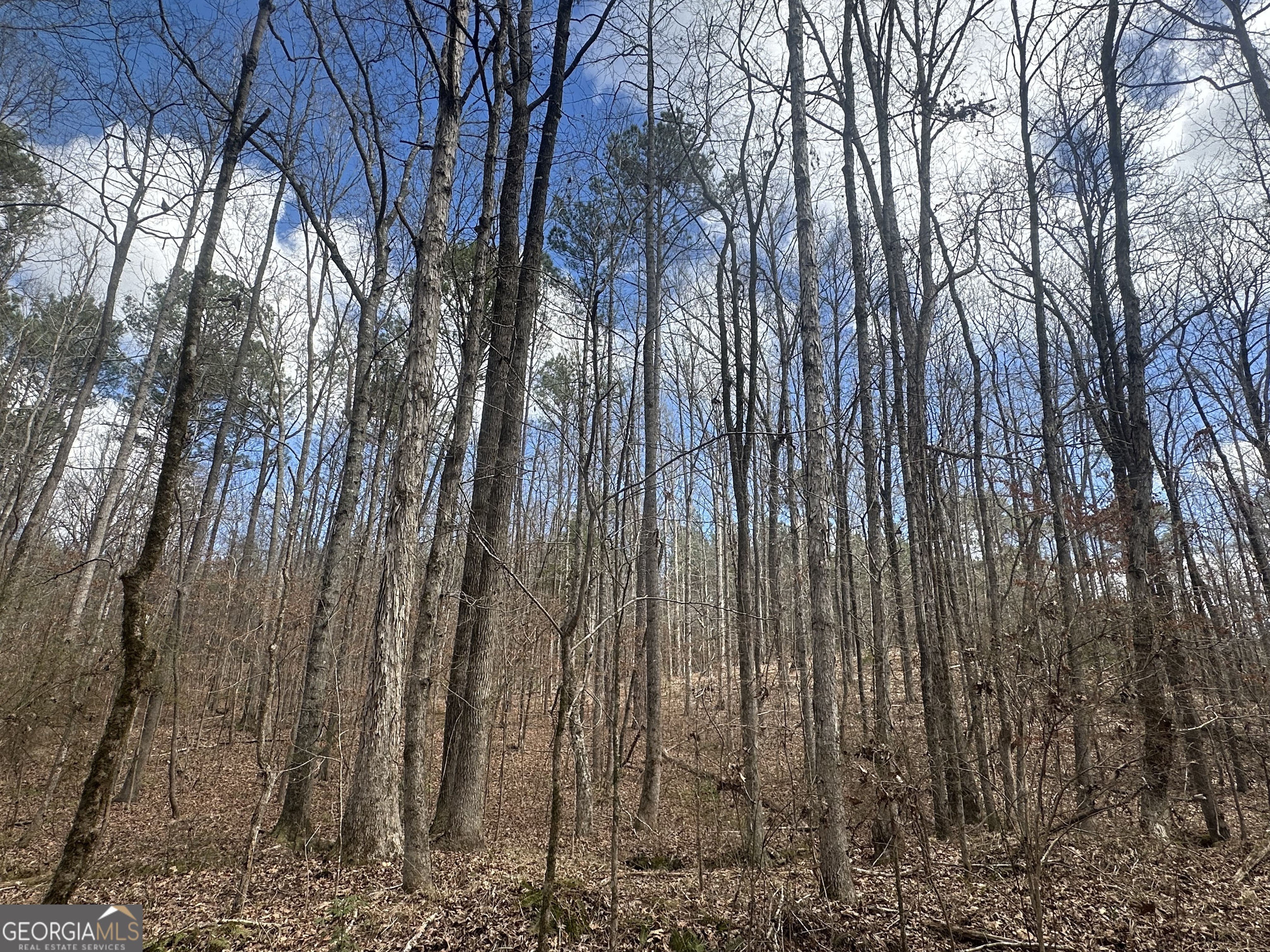 0 Gibson Road Talbotton, GA 31827 - Photo 36 of 38