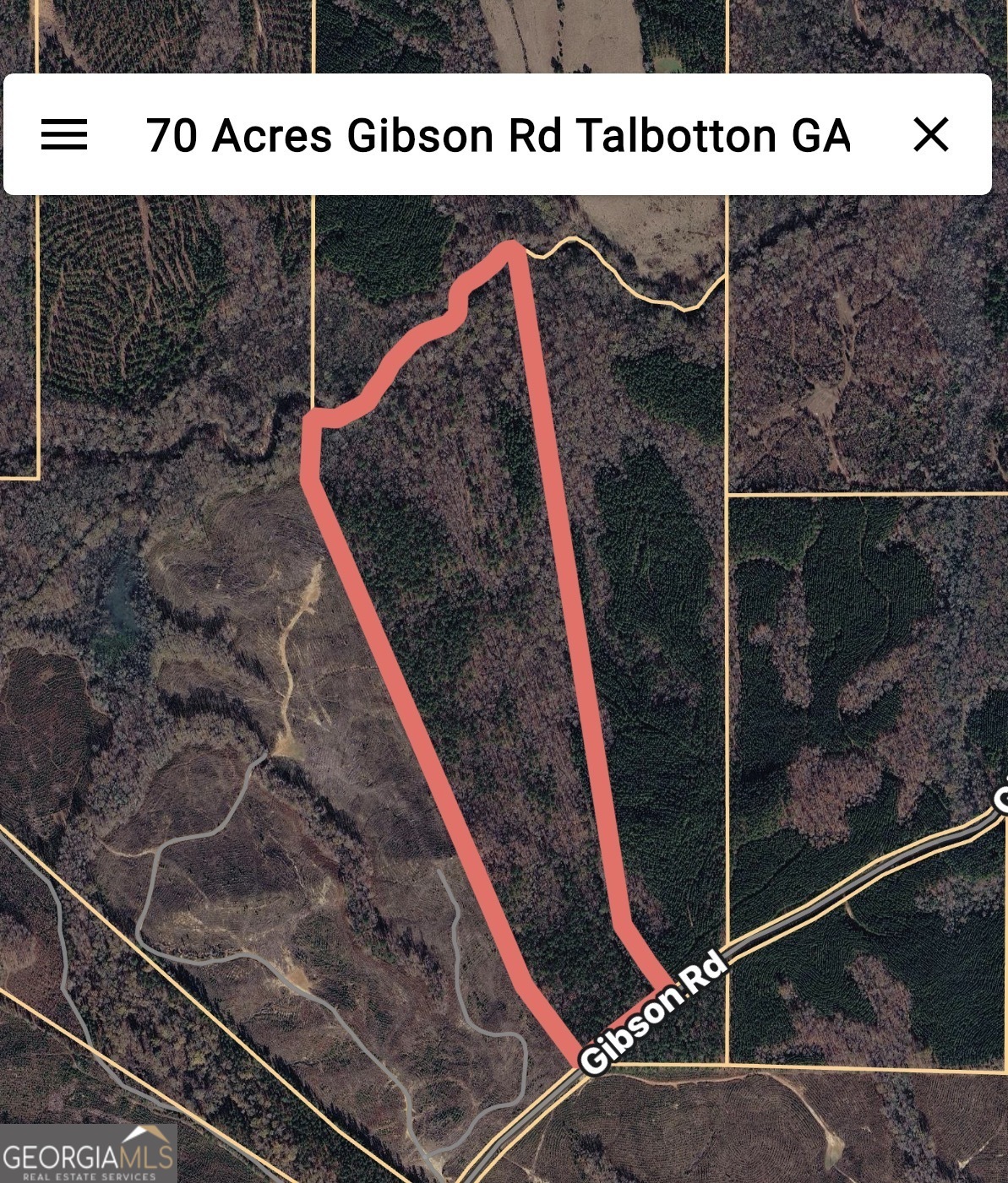 0 Gibson Road Talbotton, GA 31827 - Photo 38 of 38