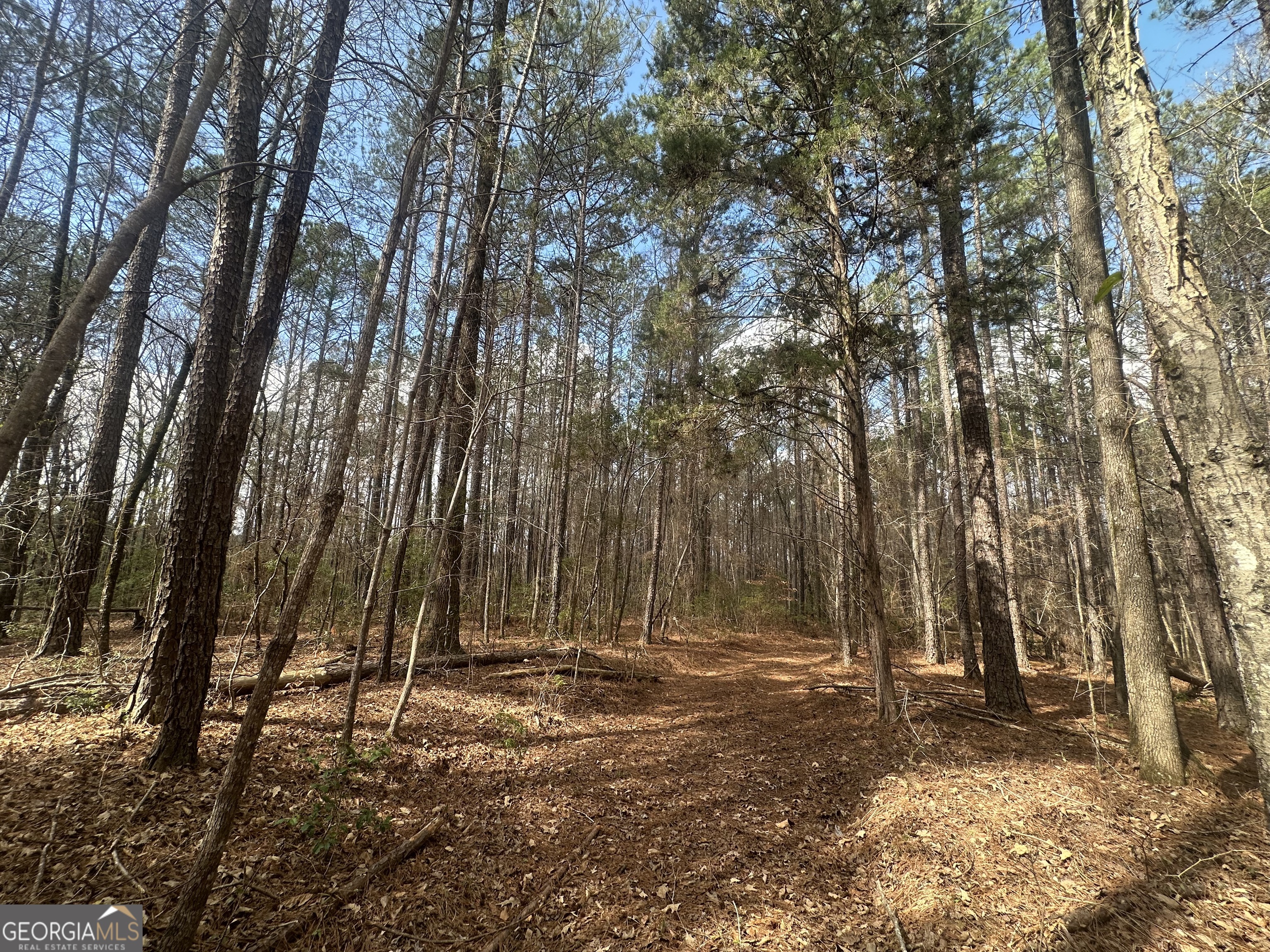 0 Gibson Road Talbotton, GA 31827 - Photo 8 of 38