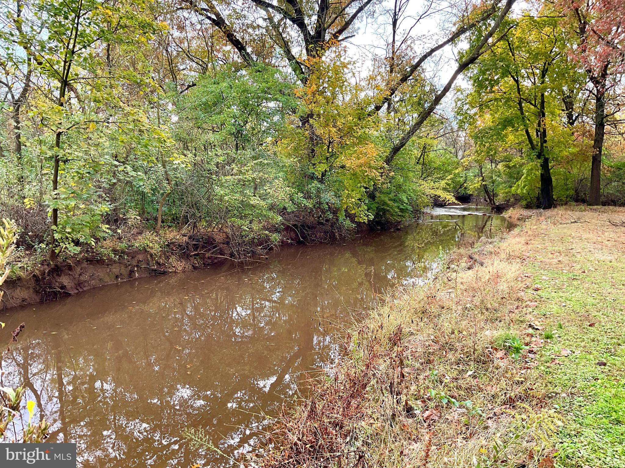 1145 Reading Road Narvon, PA 17555 - Photo 33 of 62 a view of a lake with a tree