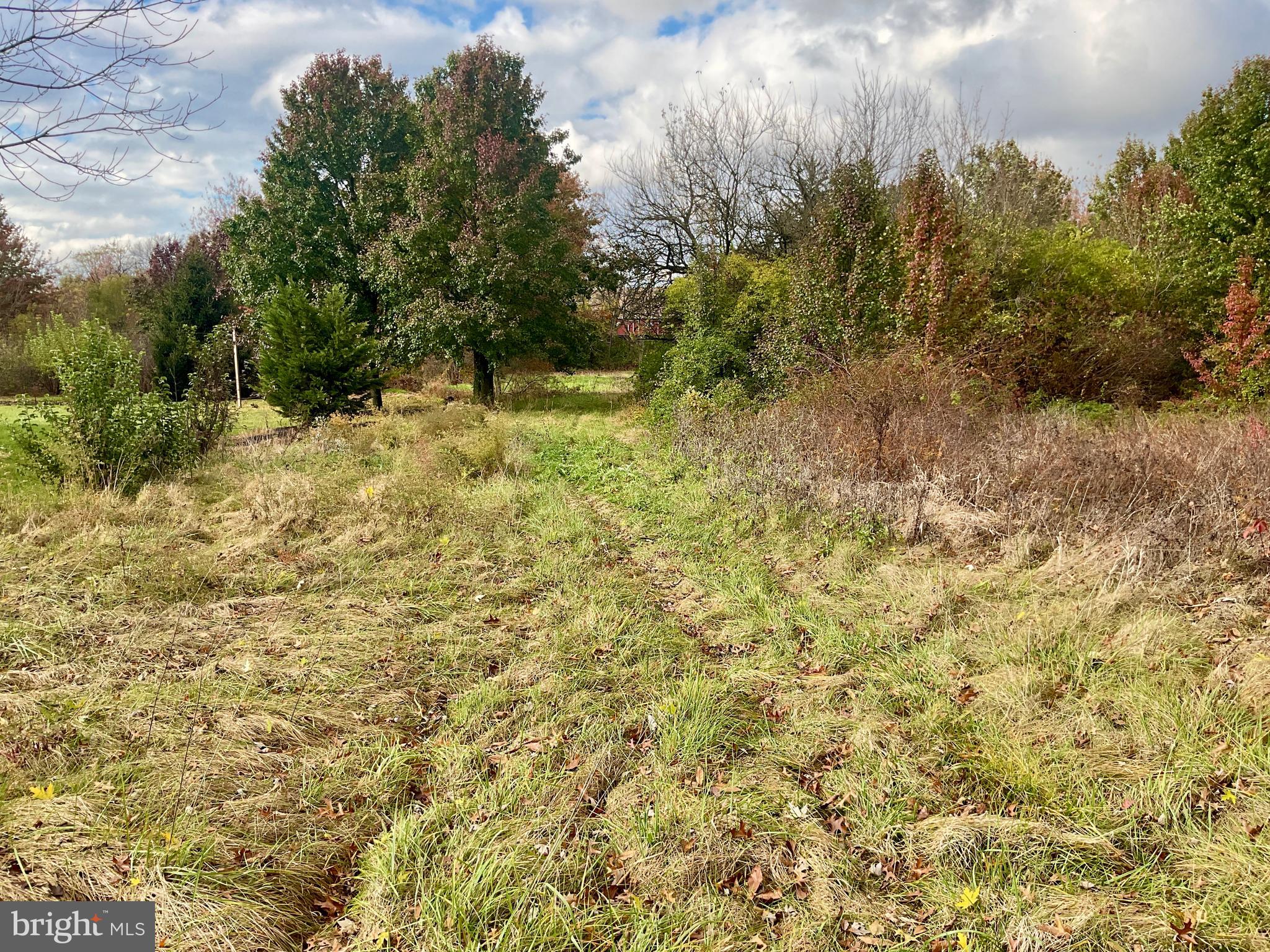 1145 Reading Road Narvon, PA 17555 - Photo 60 of 62 a view of a yard with plants and trees