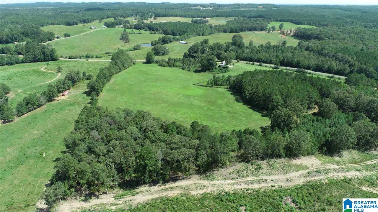 1056 Fuller Road Cragford, AL 36255 - Photo 14 of 18