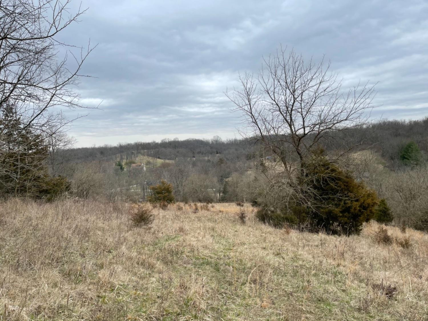 5152 Muddy Ford Road Georgetown, KY 40324 - Photo 3 of 10 Photo 3