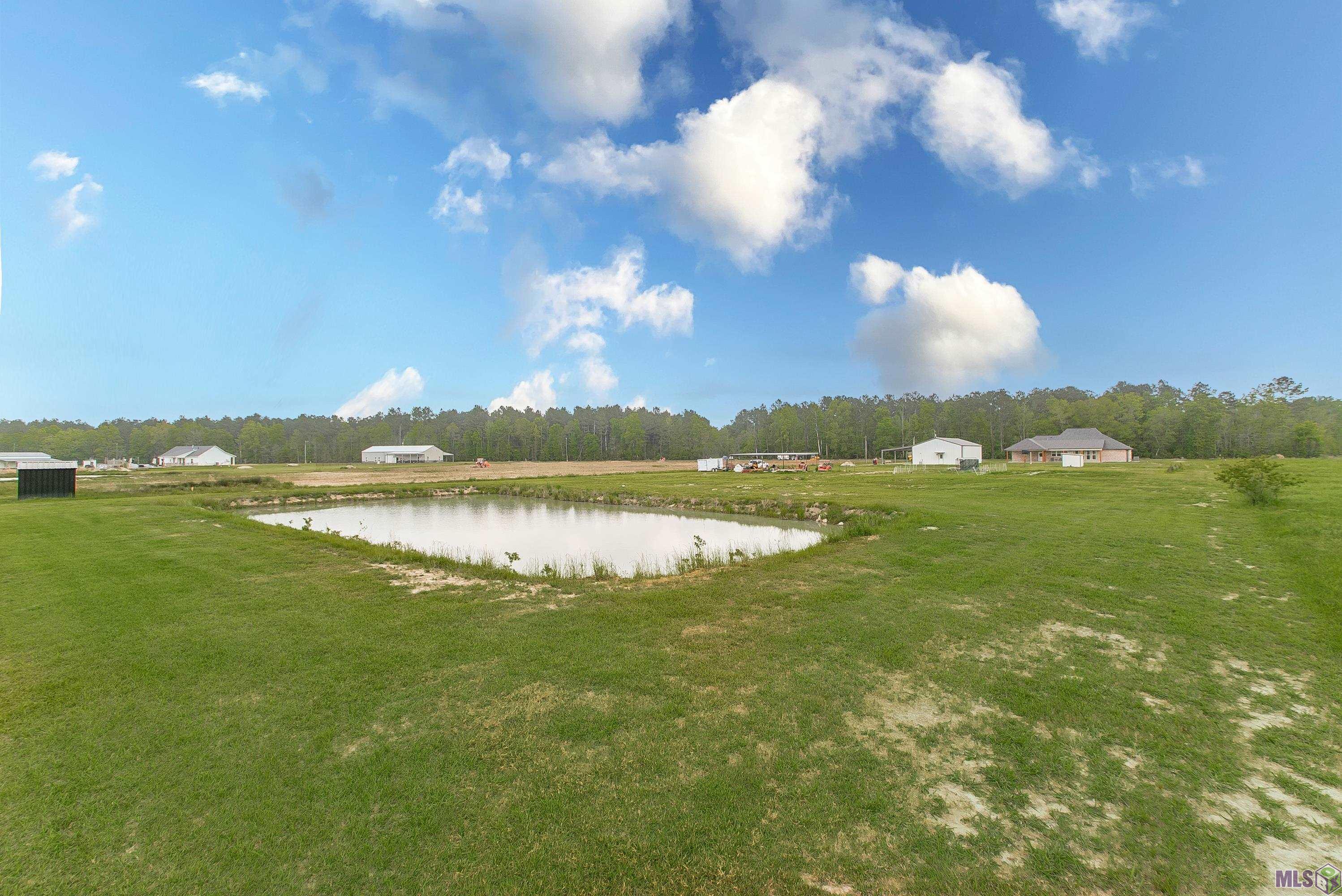 20204 Palmer Road Livingston, LA 70754 - Photo 33 of 35