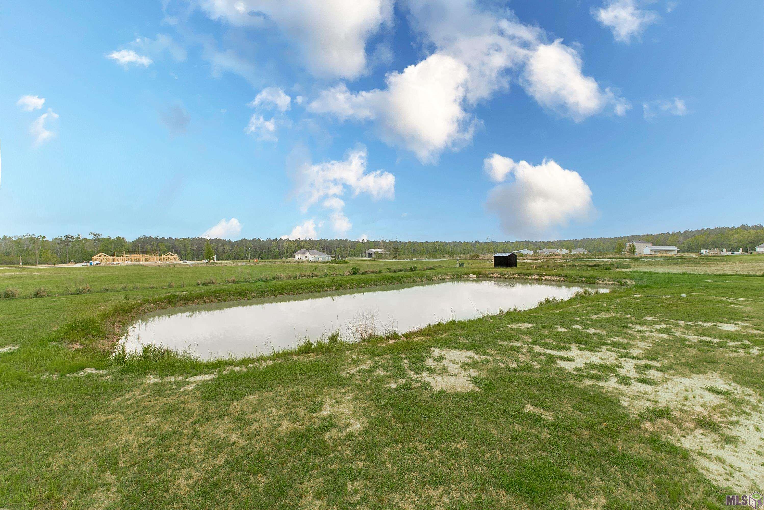 20204 Palmer Road Livingston, LA 70754 - Photo 34 of 35