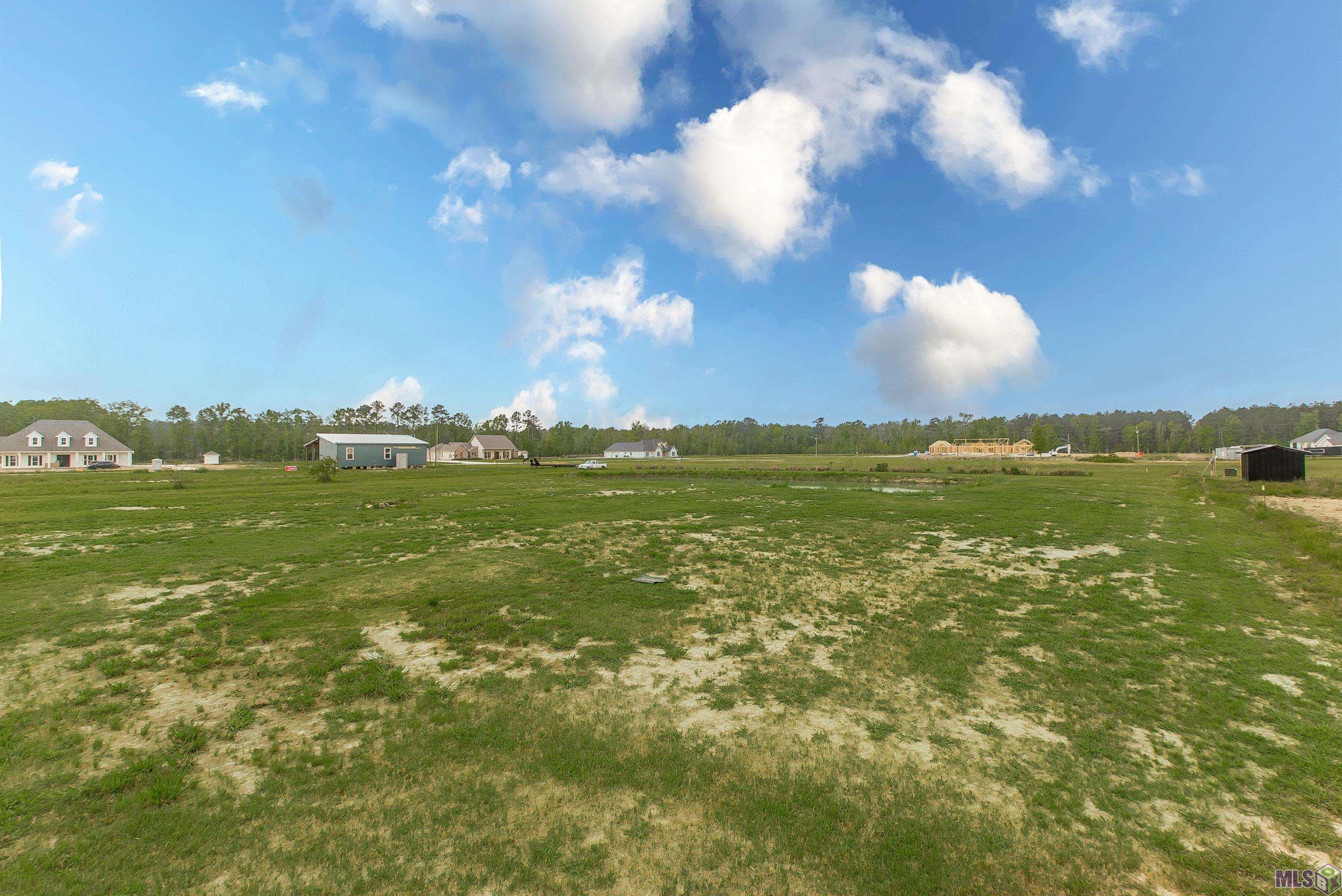 20204 Palmer Road Livingston, LA 70754 - Photo 35 of 35