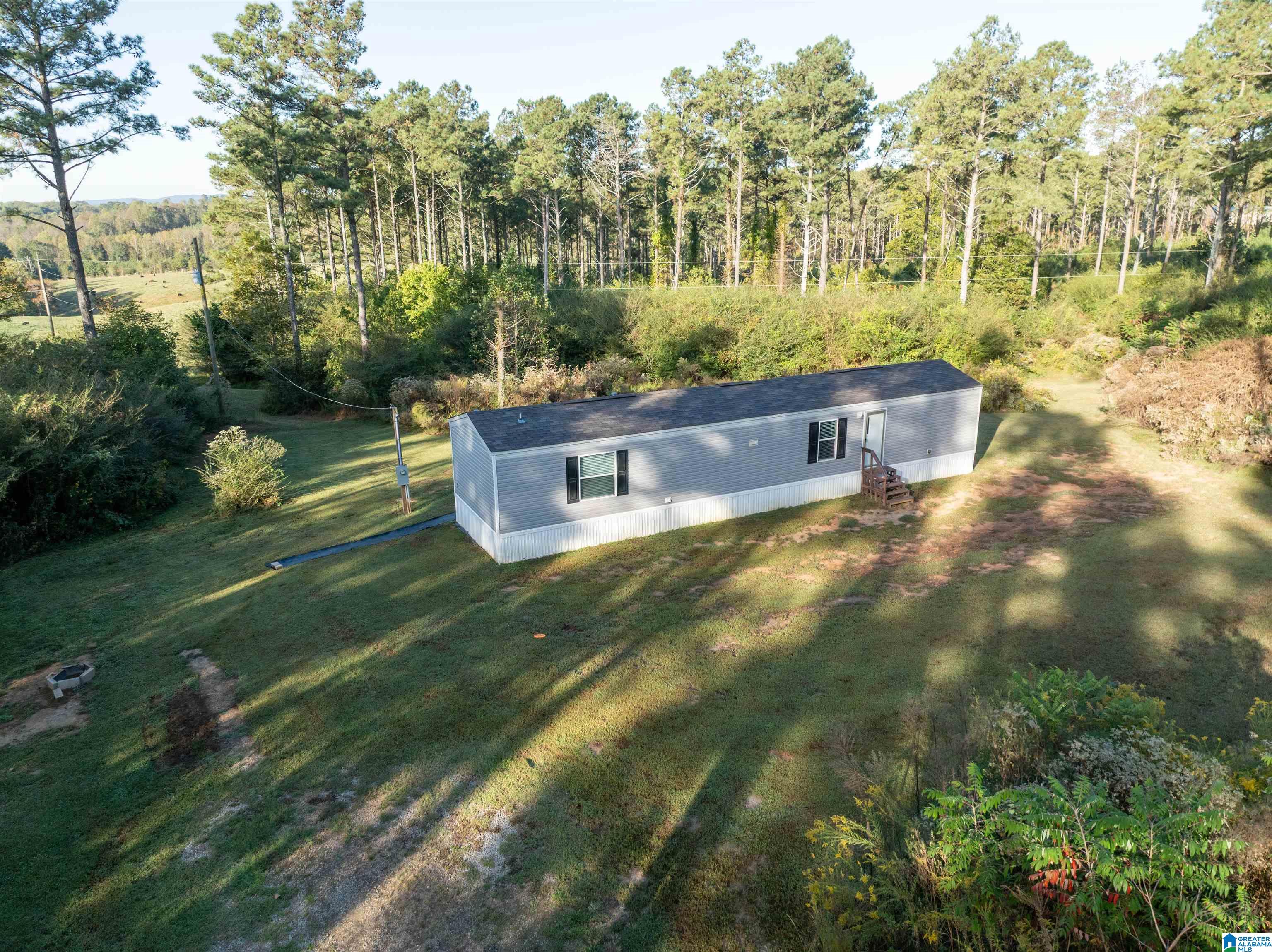 3519 County Road 95 Ranburne, AL 36273 - Photo 4 of 35