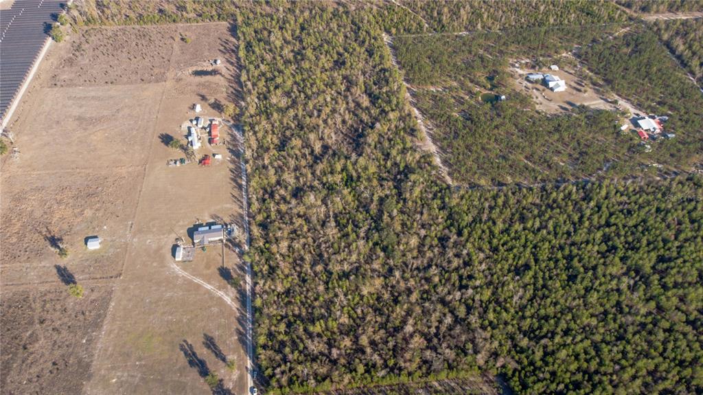 Southeast Rogers Sink Road Madison, FL 32340 - Photo 7 of 7
