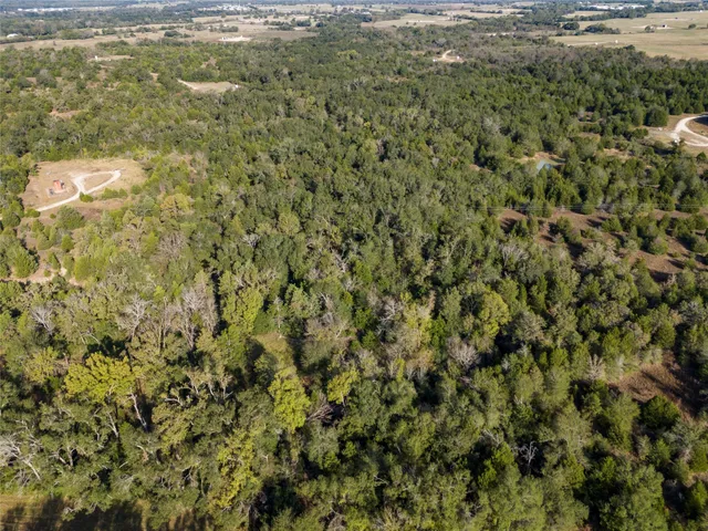 a view of a field with a tree