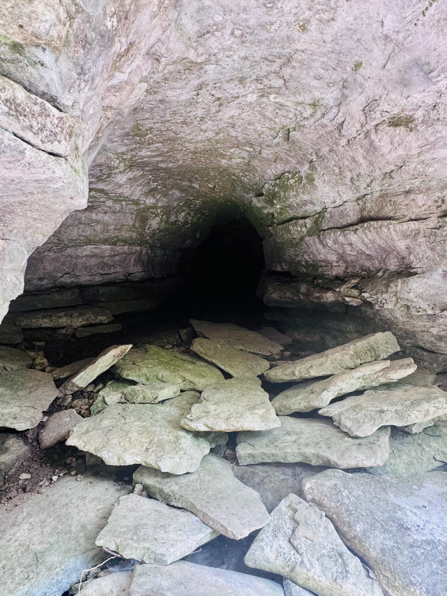 795 Anthony Road Pineville, MO 64856 - Photo 17 of 95 Cave