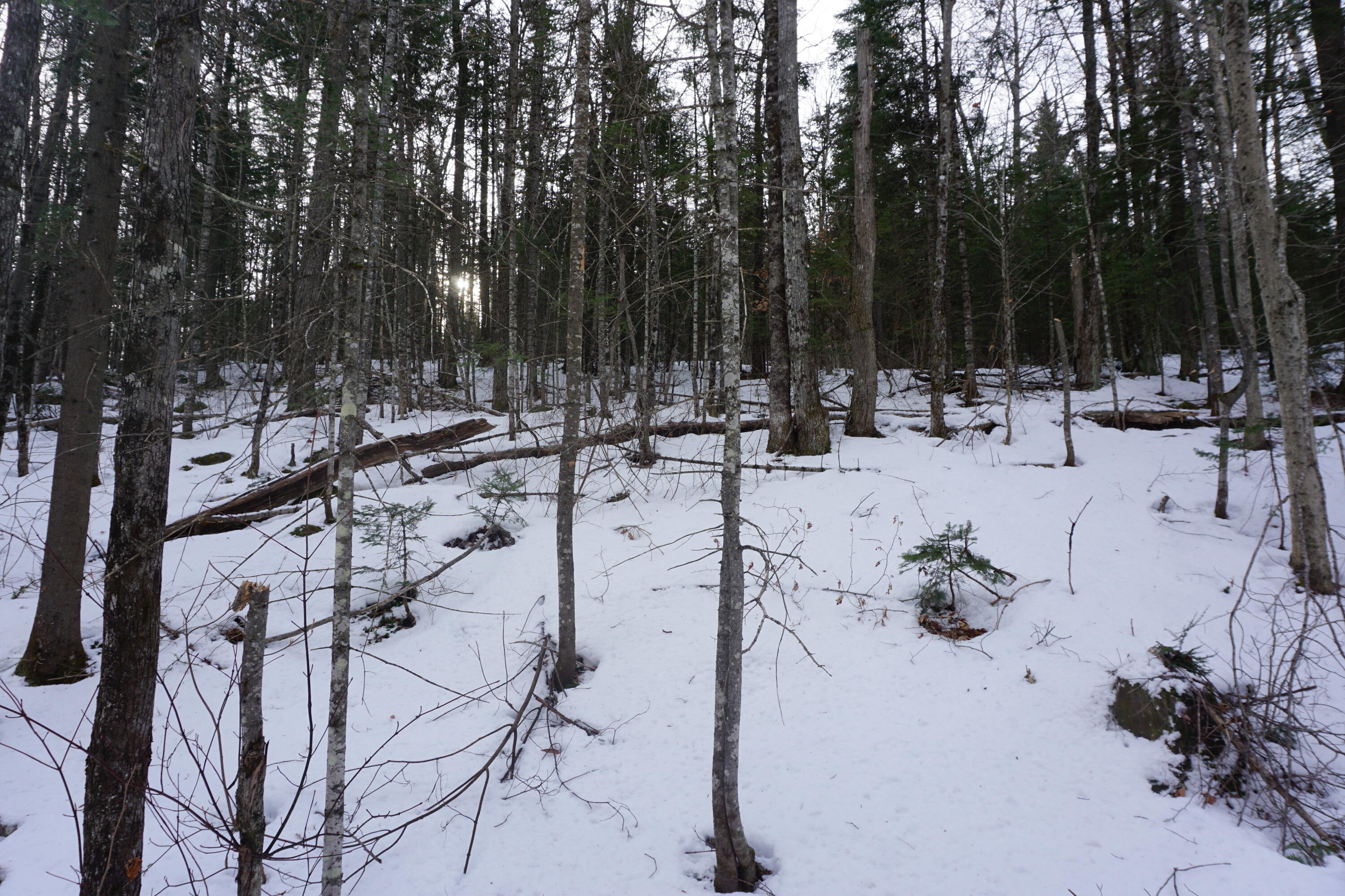 1 Redding Road Sumner, ME 04292 - Photo 9 of 21