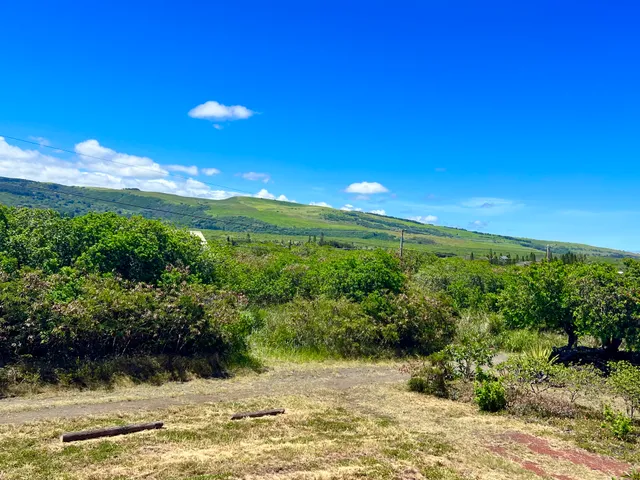 a view of a lake with a yard