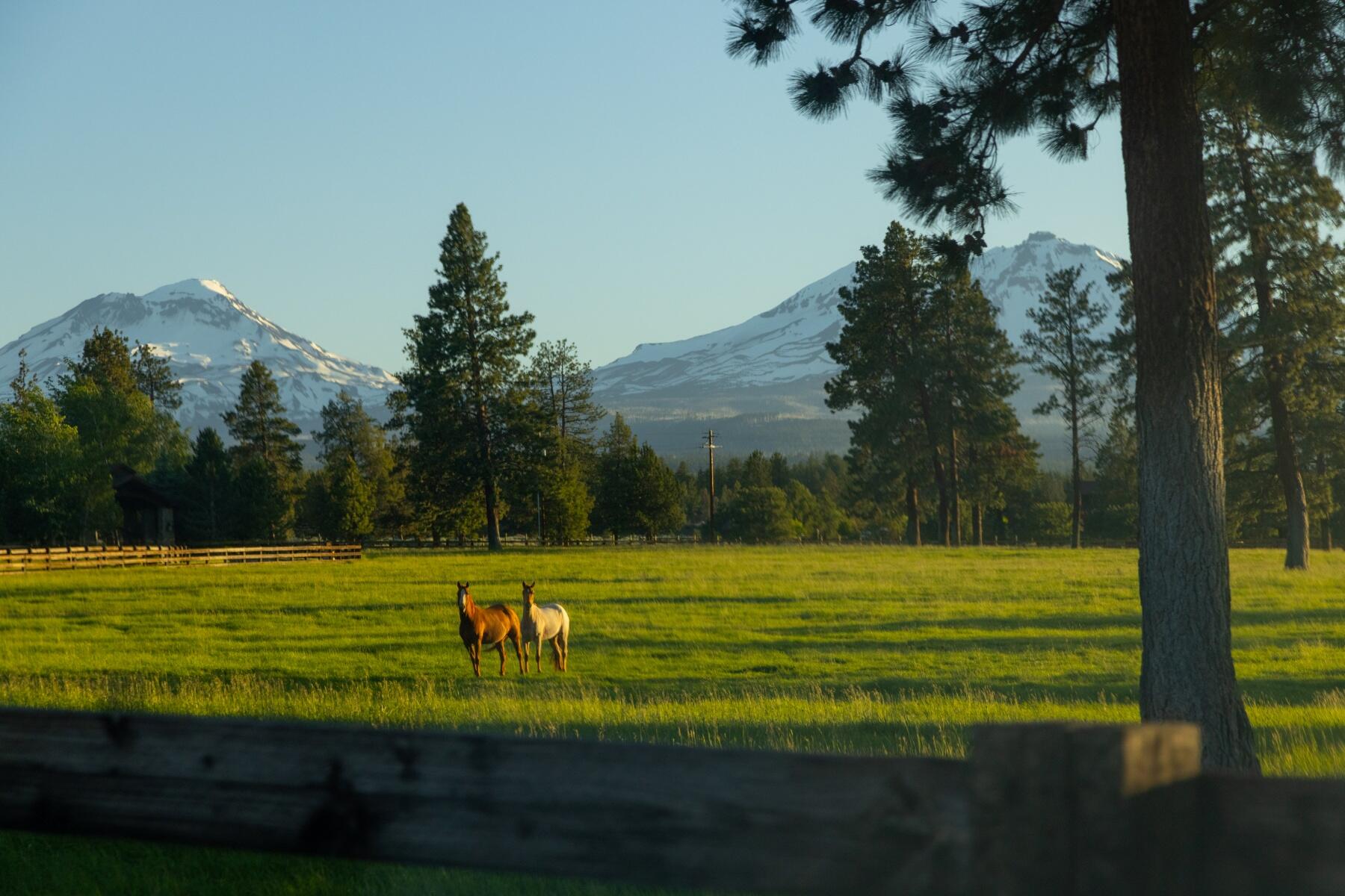 16400 Jordan Road Sisters, OR 97759 - Photo 89 of 101 Property, Pastures and Views