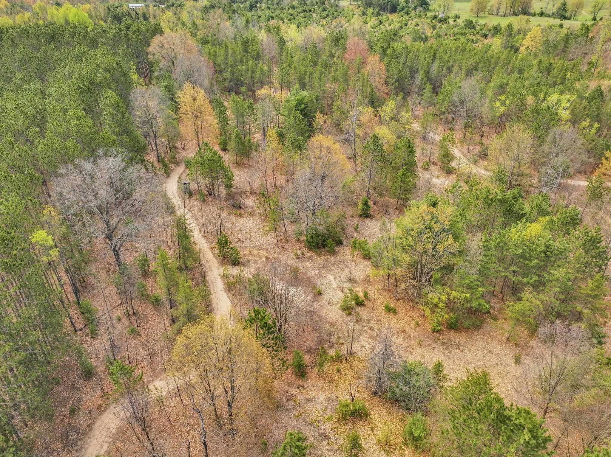 22386 16 Mile Road Leroy, MI 49655 - Photo 44 of 63