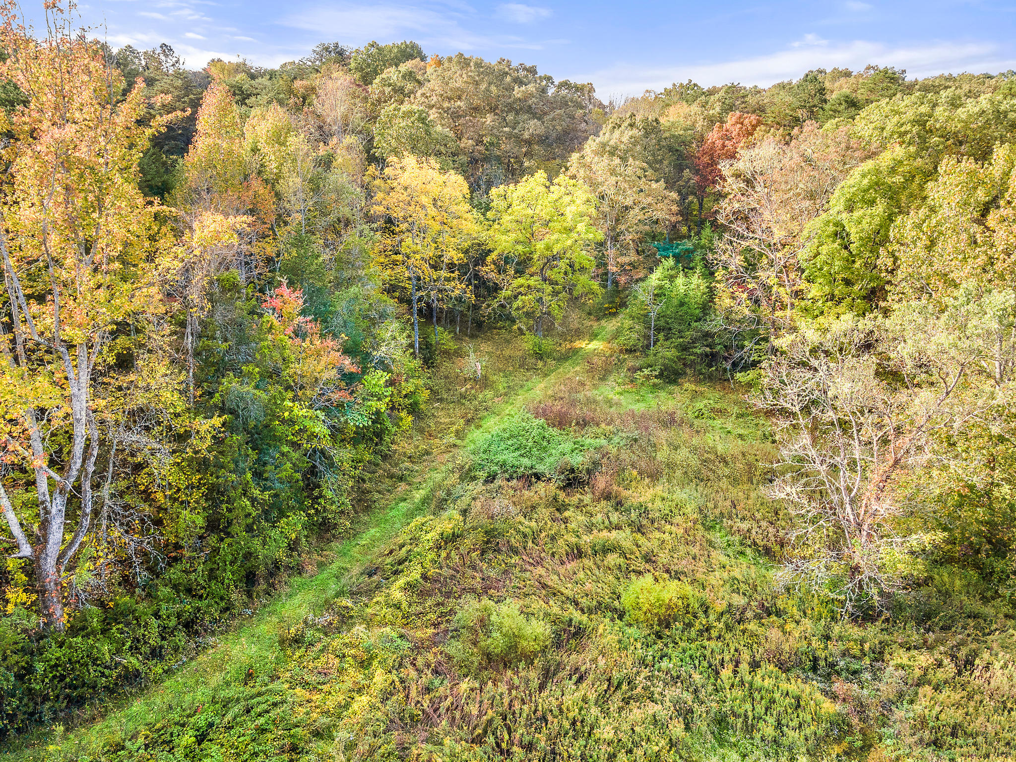 0 Davis Valley Road, Unit 7R Afton, TN 37616 - Photo 11 of 12 Davis Valley 11