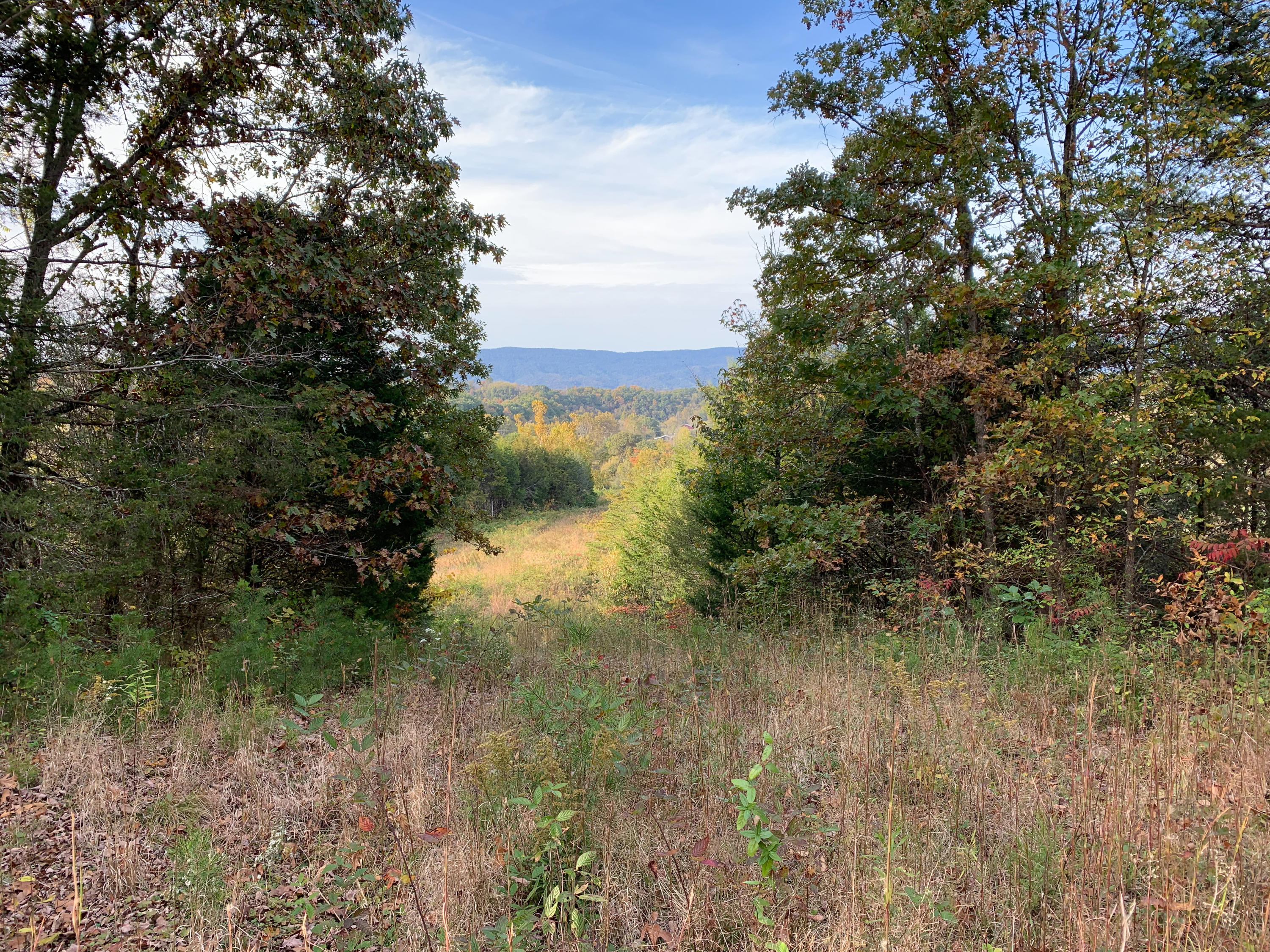 0 Davis Valley Road, Unit 7R Afton, TN 37616 - Photo 12 of 12 IMG_4240