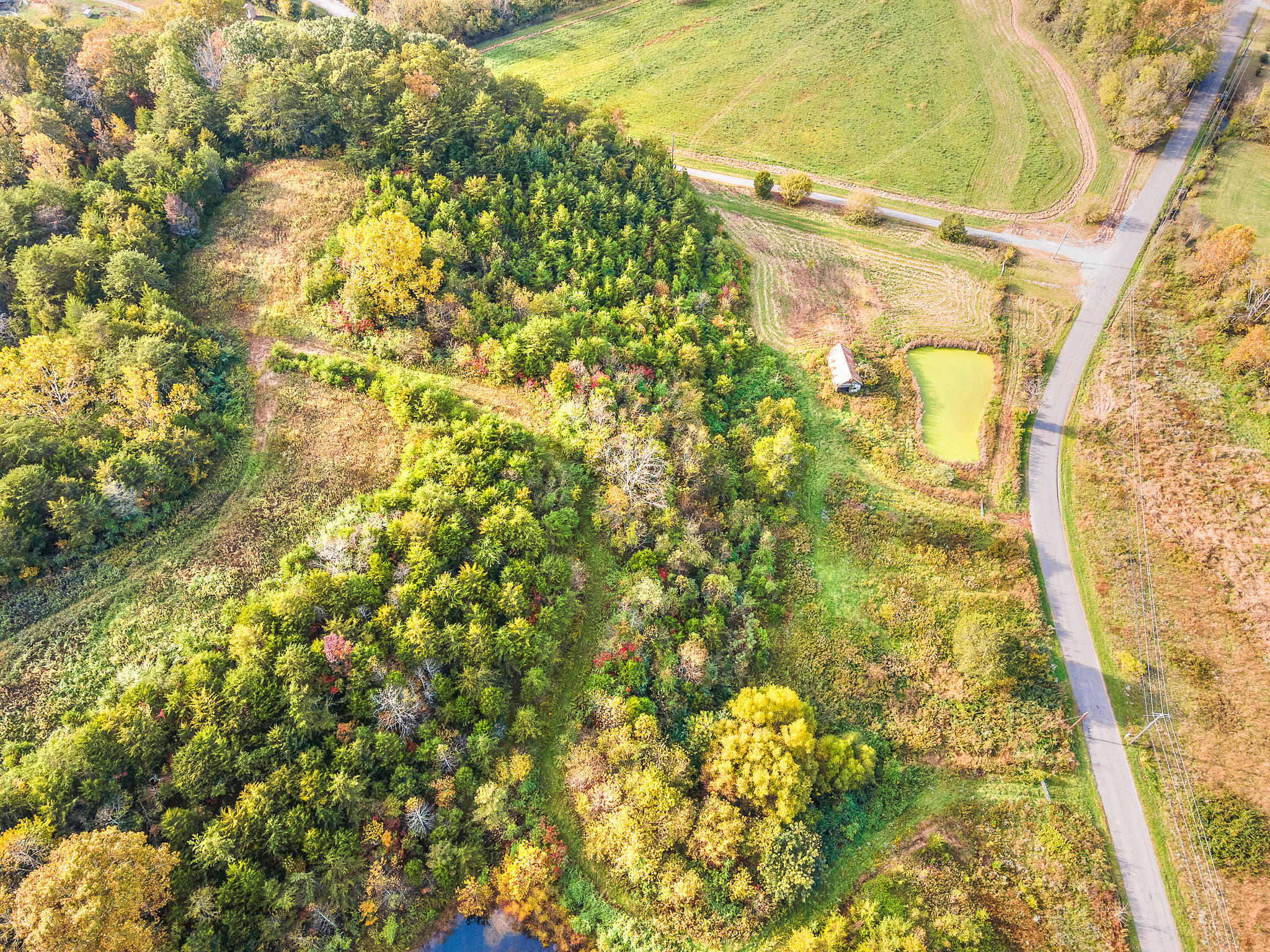0 Davis Valley Road, Unit 7R Afton, TN 37616 - Photo 7 of 12 Davis Valley 8