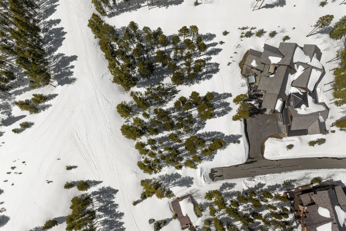 325 Timbertrail Road Breckenridge, CO 80424 - Photo 49 of 50