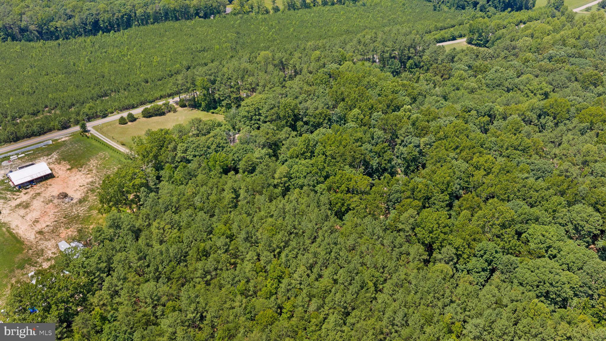 1564 Bethany Church Road Bumpass, VA 23024 - Photo 74 of 81