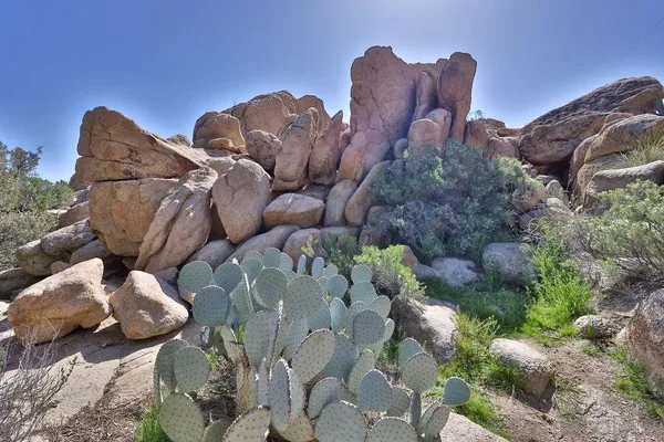 $1,695,000 | 0 Tower & 3 Homes, Jacumba, CA 91934