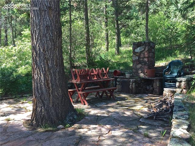 9745 Mountain Road Cascade, CO 80809 - Photo 4 of 17