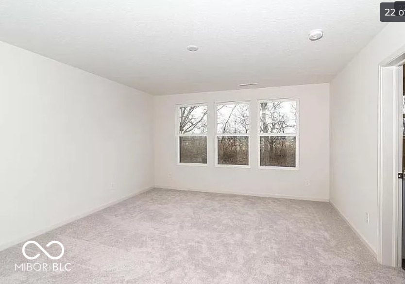 13508 Dewpoint Lane Fishers, IN 46037 - Photo 22 of 30