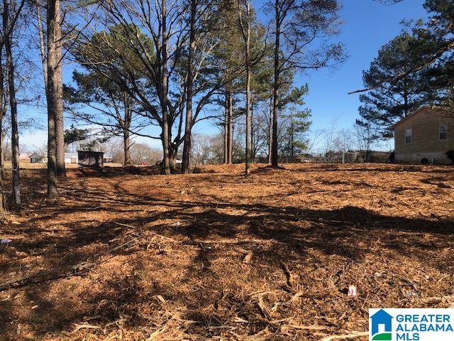 0 Old Lokey Ferry Road Wilsonville, AL 35186 - Photo 1 of 1