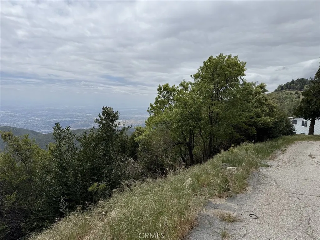 0 Ocean View Drive Crestline, CA 92325 - Photo 3 of 5