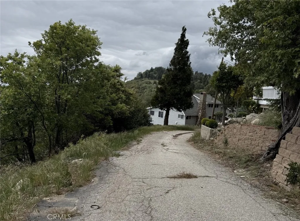 0 Ocean View Drive Crestline, CA 92325 - Photo 5 of 5