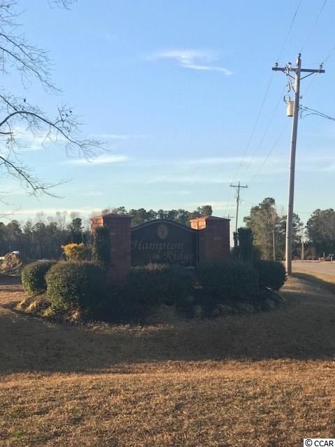 100 Hampton Ridge Road Conway, SC 29527 - Photo 8 of 17 Gallery Image 8
