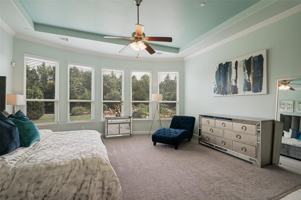 388 Bethany Road Sunnyvale, TX 75182 - Photo 17 of 40 Spacious primary bedroom featuring a tray ceiling with a ceiling fan, carpet flooring, and a bay window configuration with blinds